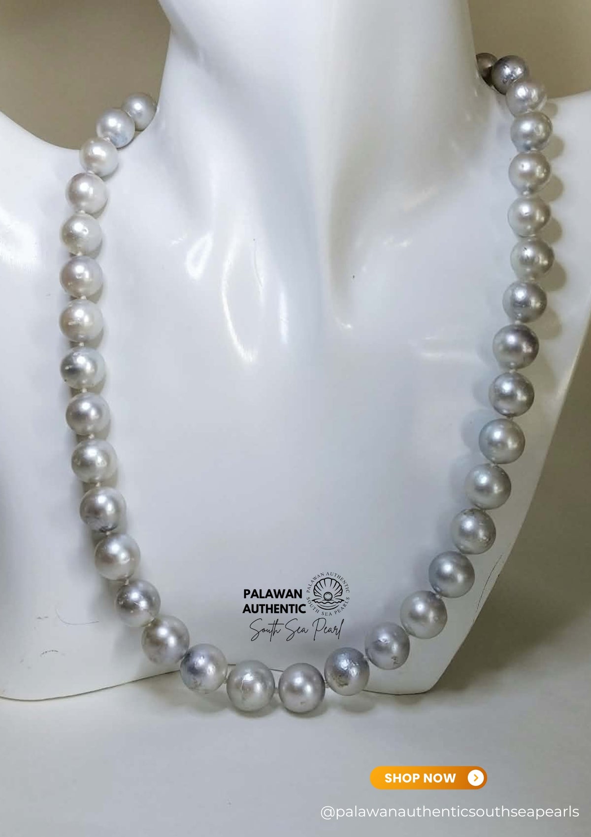 9.2 to 11.7mm Palawan Authentic Silver Gray Color South Sea Pearl Choker in 5 Micron Lock Settings