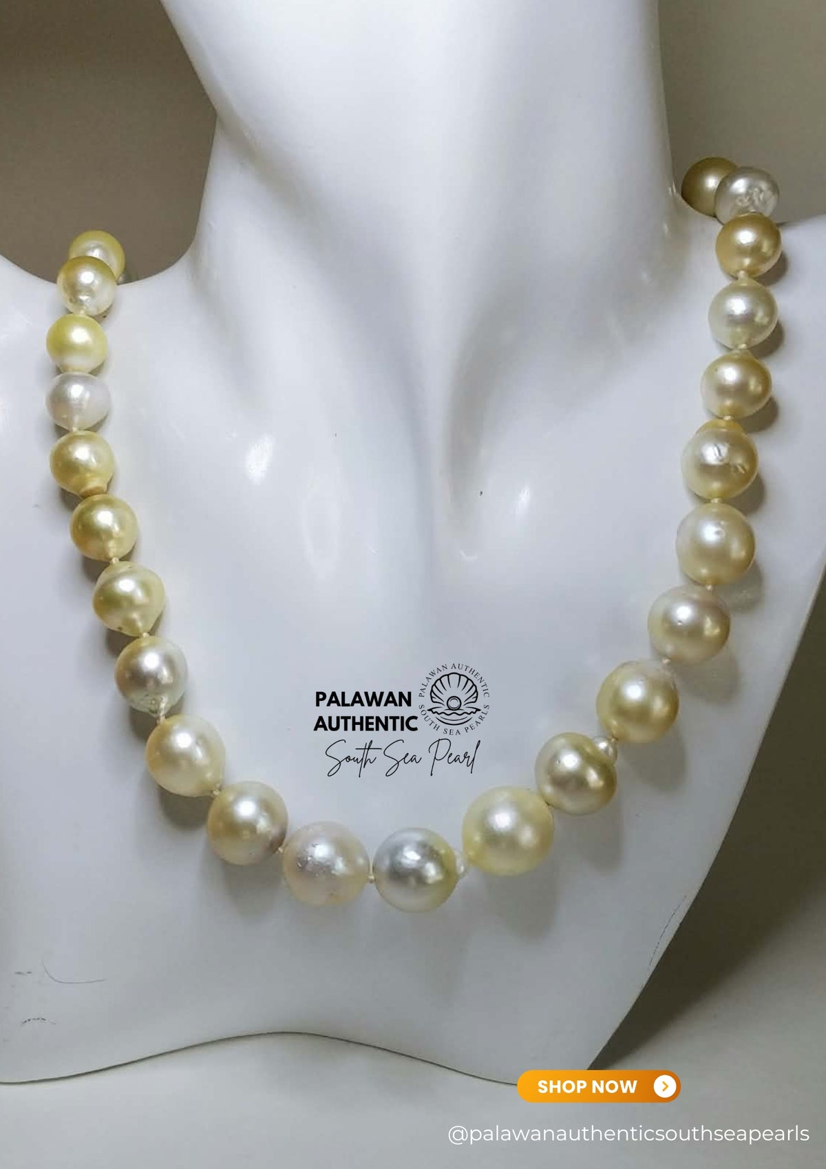 9 to 14mm Palawan Authentic Light Champagne South Sea Pearl Choker in 5 Micron Lock Setting.
