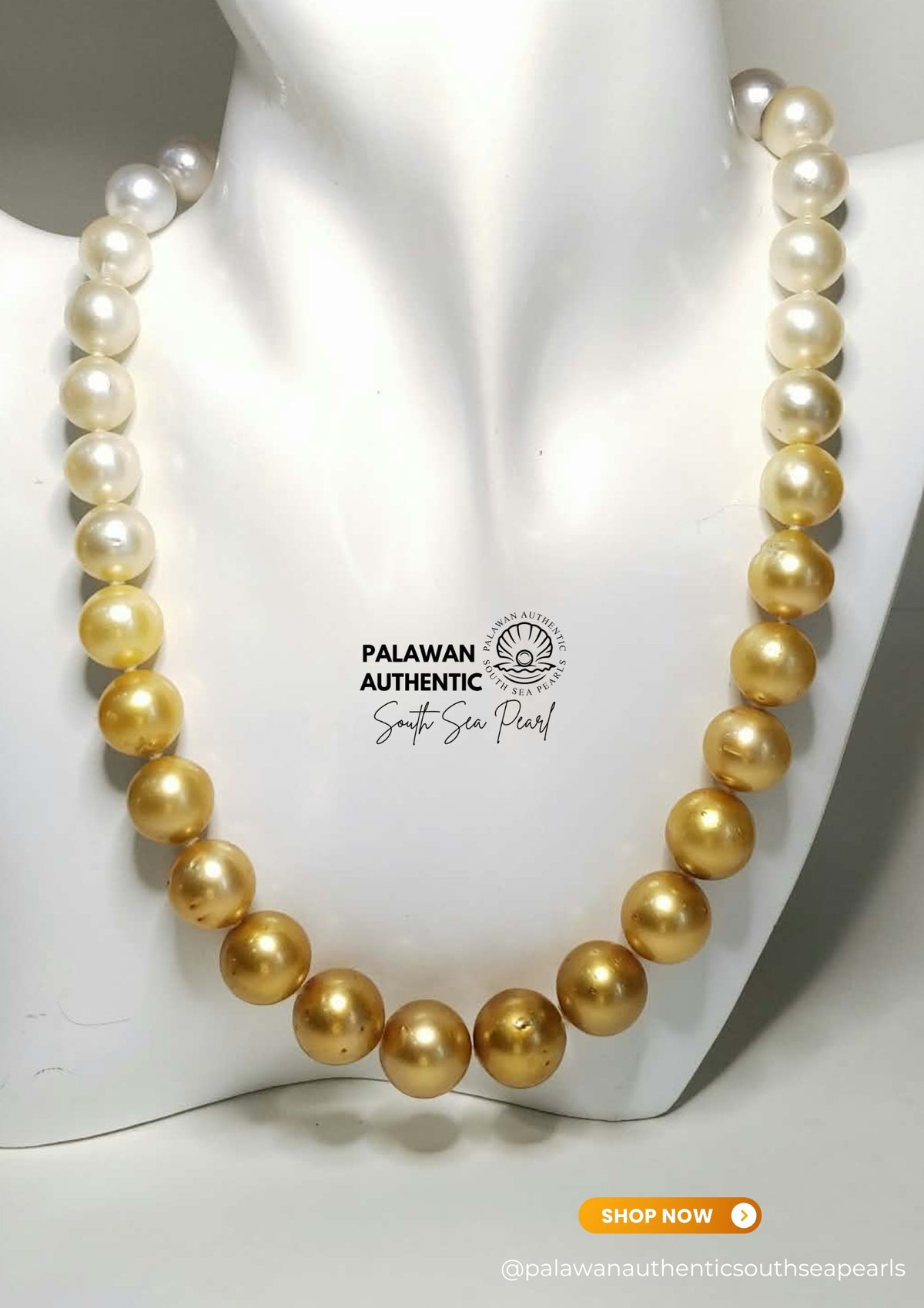 10.6 to 14mm Palawan Authentic Multicolor South Sea Pearl Choker in 5 Micron Lock Setting.