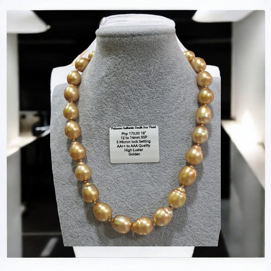 12mm to 14mm Authentic South Sea Pearls Golden Color Choker Necklace in 5 Microns Lock Settings
