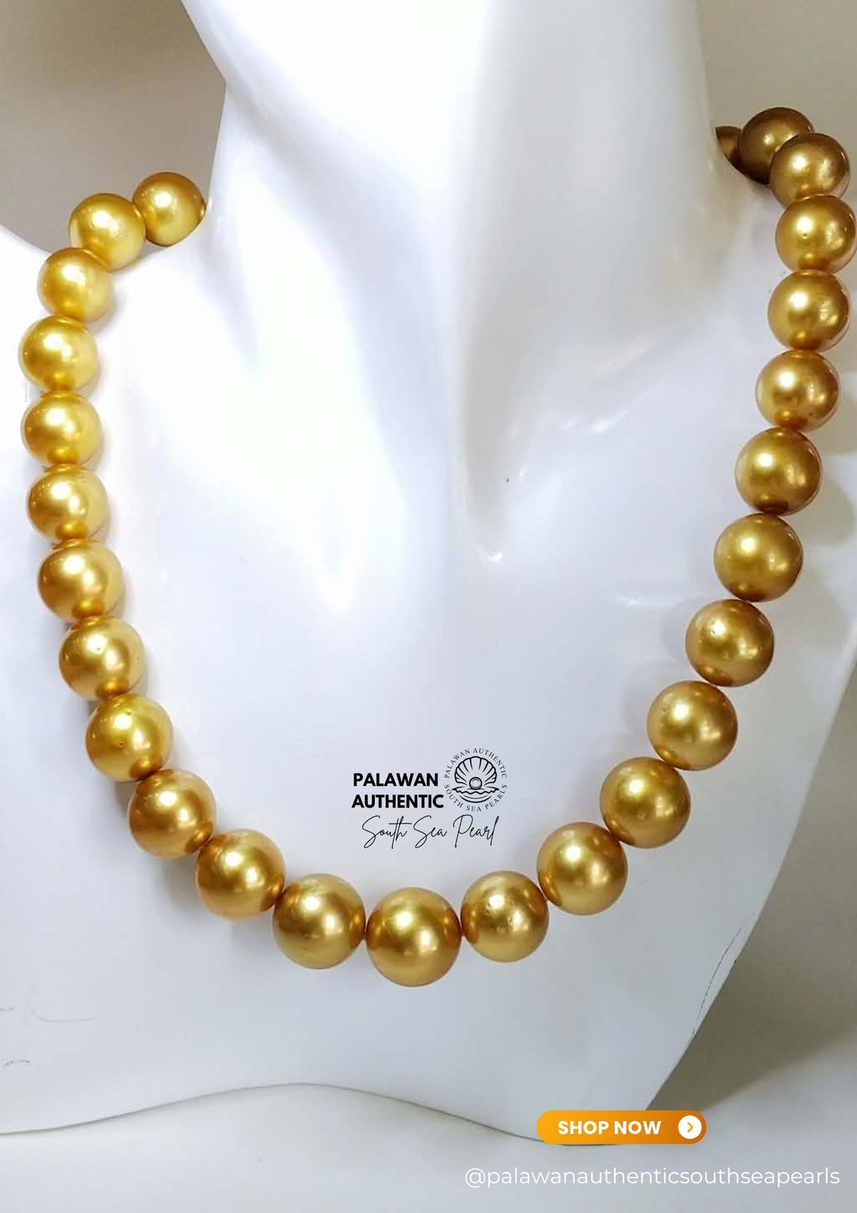 12mm to 14mm Palawan Authentic Deep Golden Color South Sea Pearl Choker in 5 Micron Lock Settings