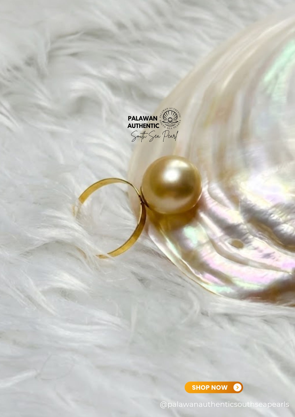 12.6mm Palawan Authentic Champagne Color South Sea Pearl Ring in 14k Real Gold Settings