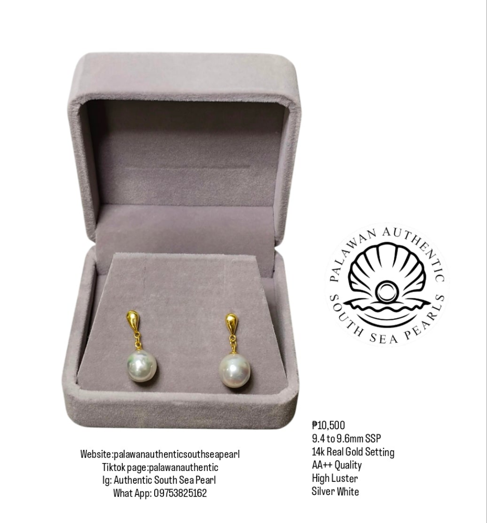 New Arrival! 9.4 to 9.6mm Authentic Silver White Color South Sea Pearl Earrings in 14k Real Gold Setting
