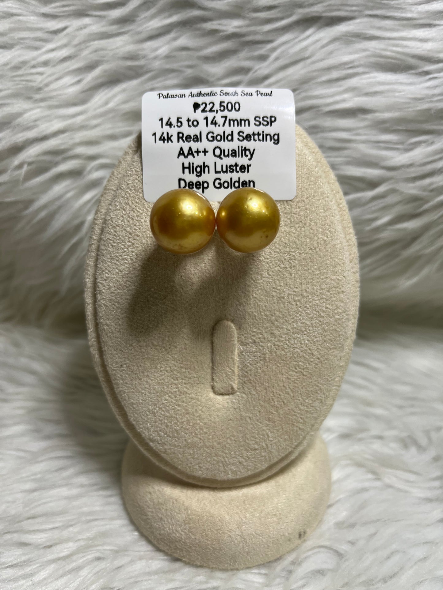 New Arrival! 14.5mm to 14.7mm Authentic Deep Golden South Sea Pearl Earrings in 14k Real Gold Settings