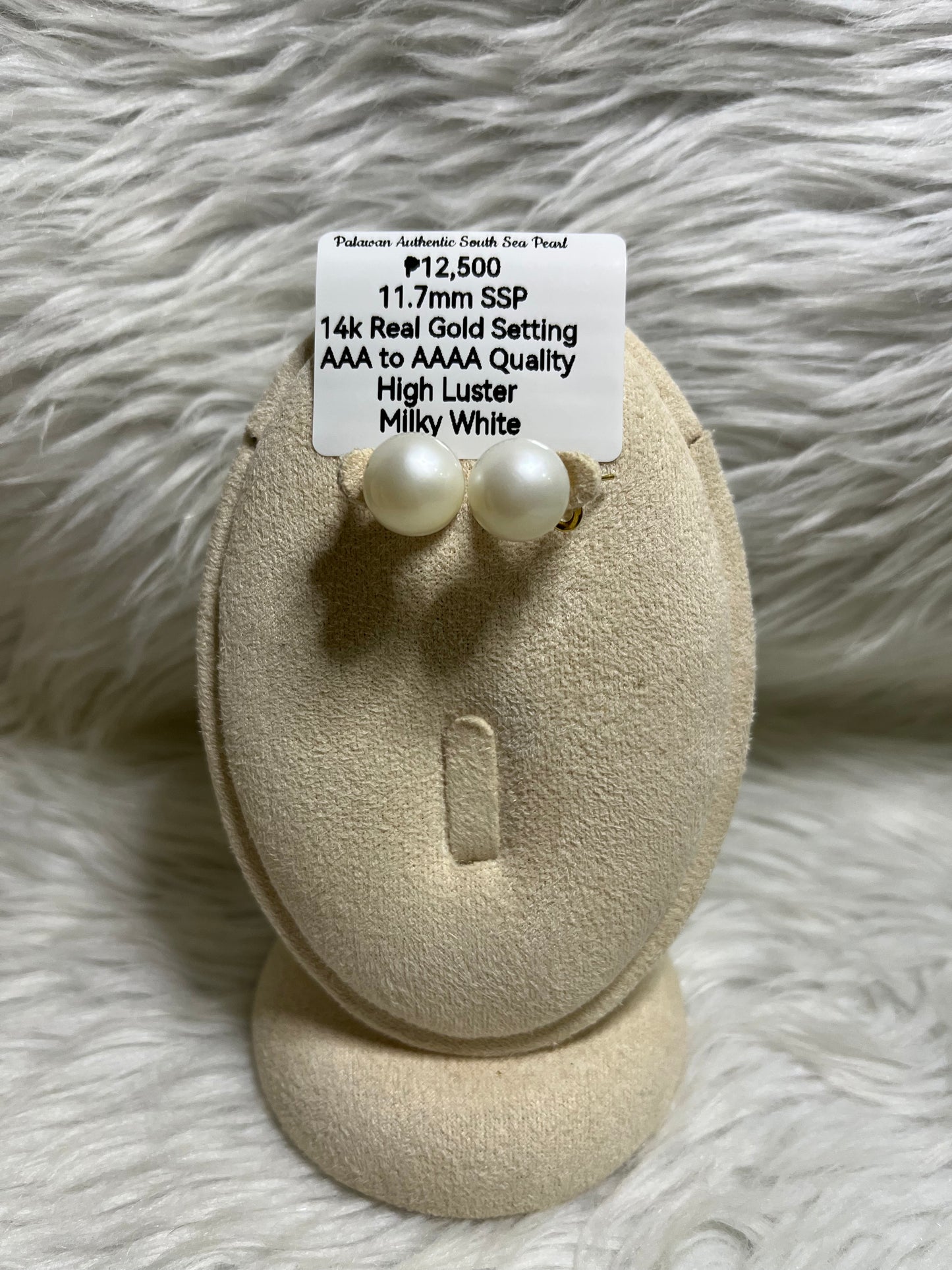 New Arrival! 11.7mm Authentic Milky White South Sea Pearl Earrings in 14k Real Gold Settings