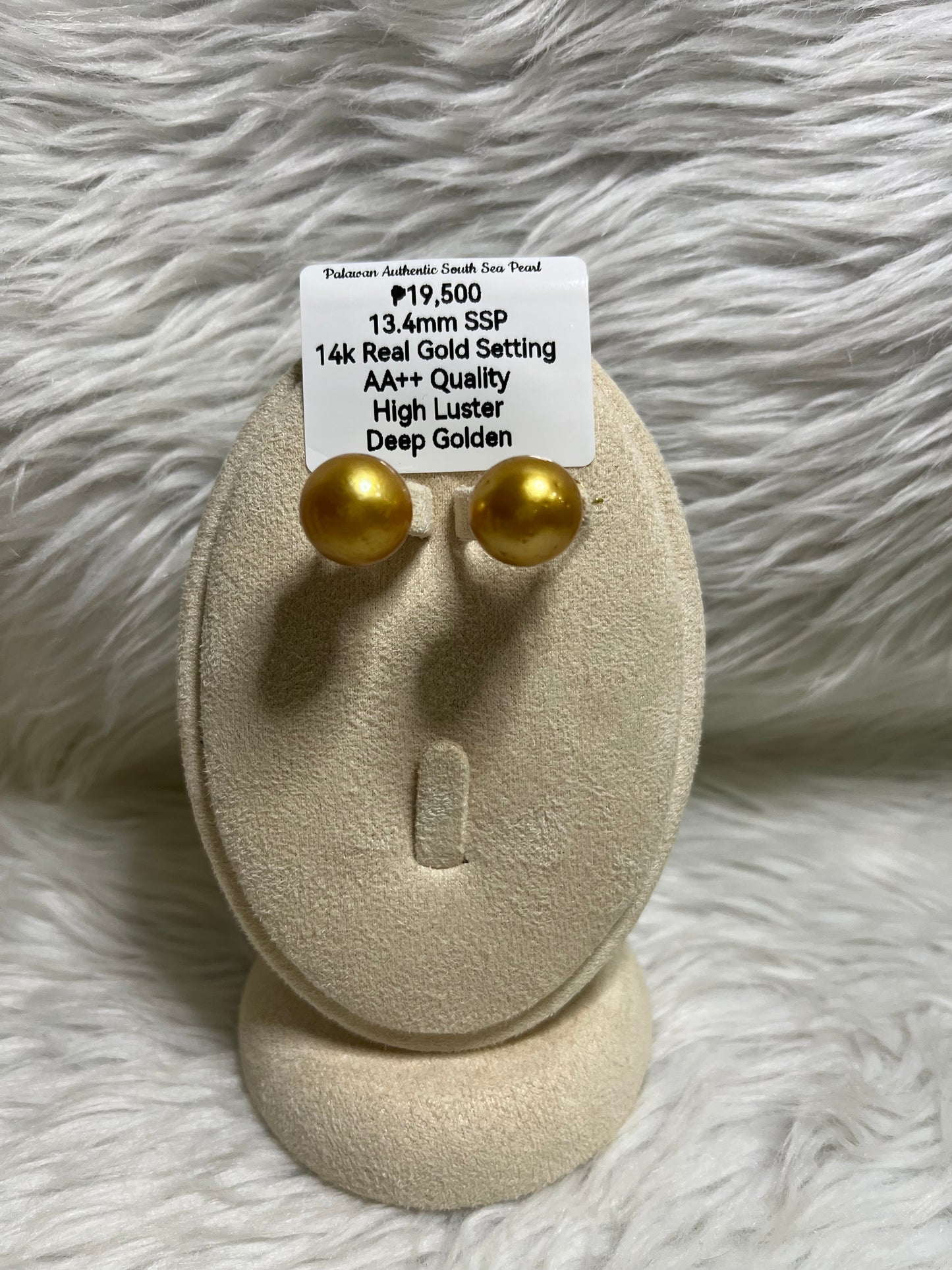 New Arrival! 13.4mm Authentic Deep Golden South Sea Pearl Earrings in 14k Real Gold Settings