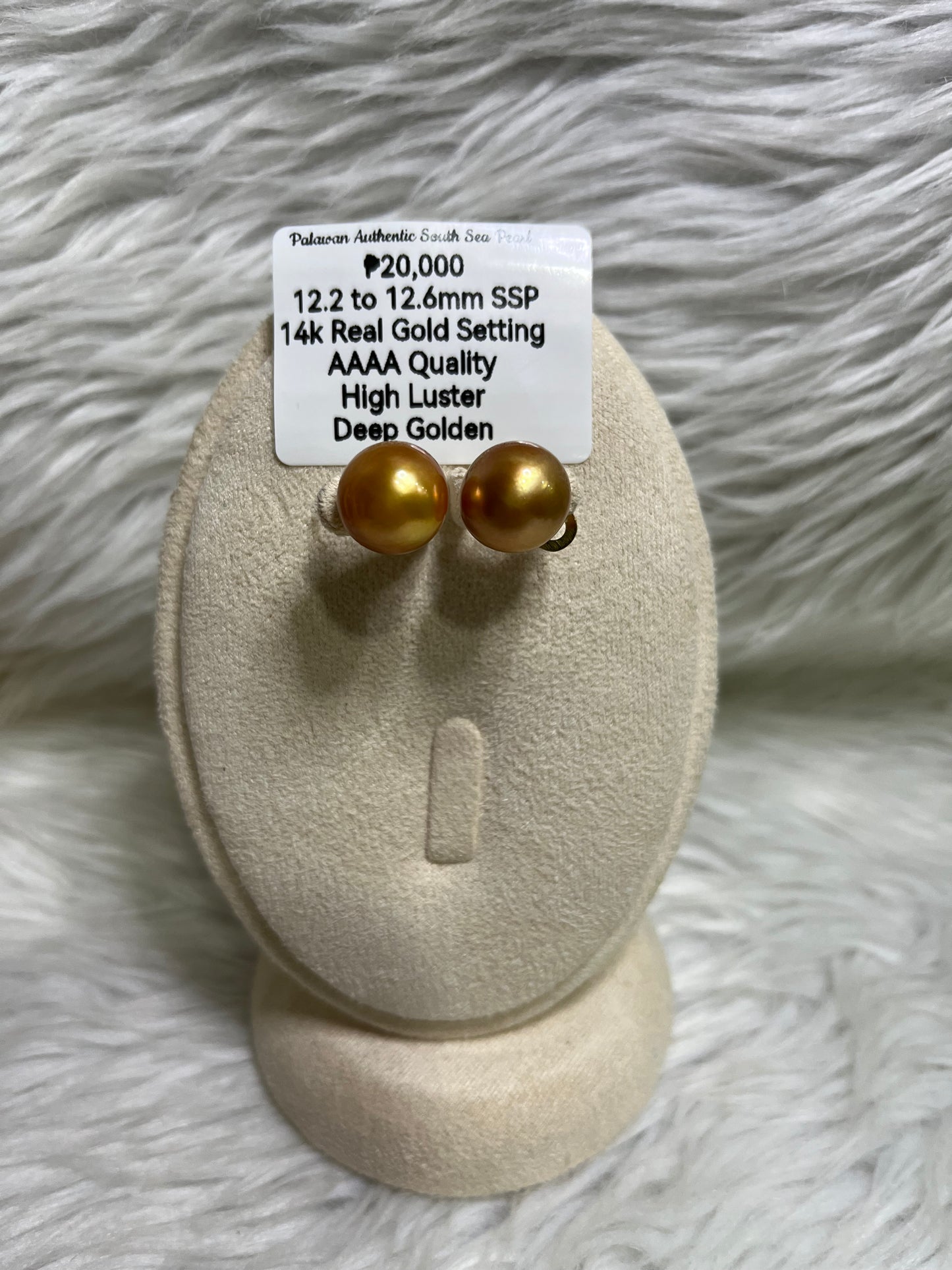 New Arrival! 12.2mm to 12.6mm Authentic Deep Golden South Sea Pearl Earrings in 14k Real Gold Settings