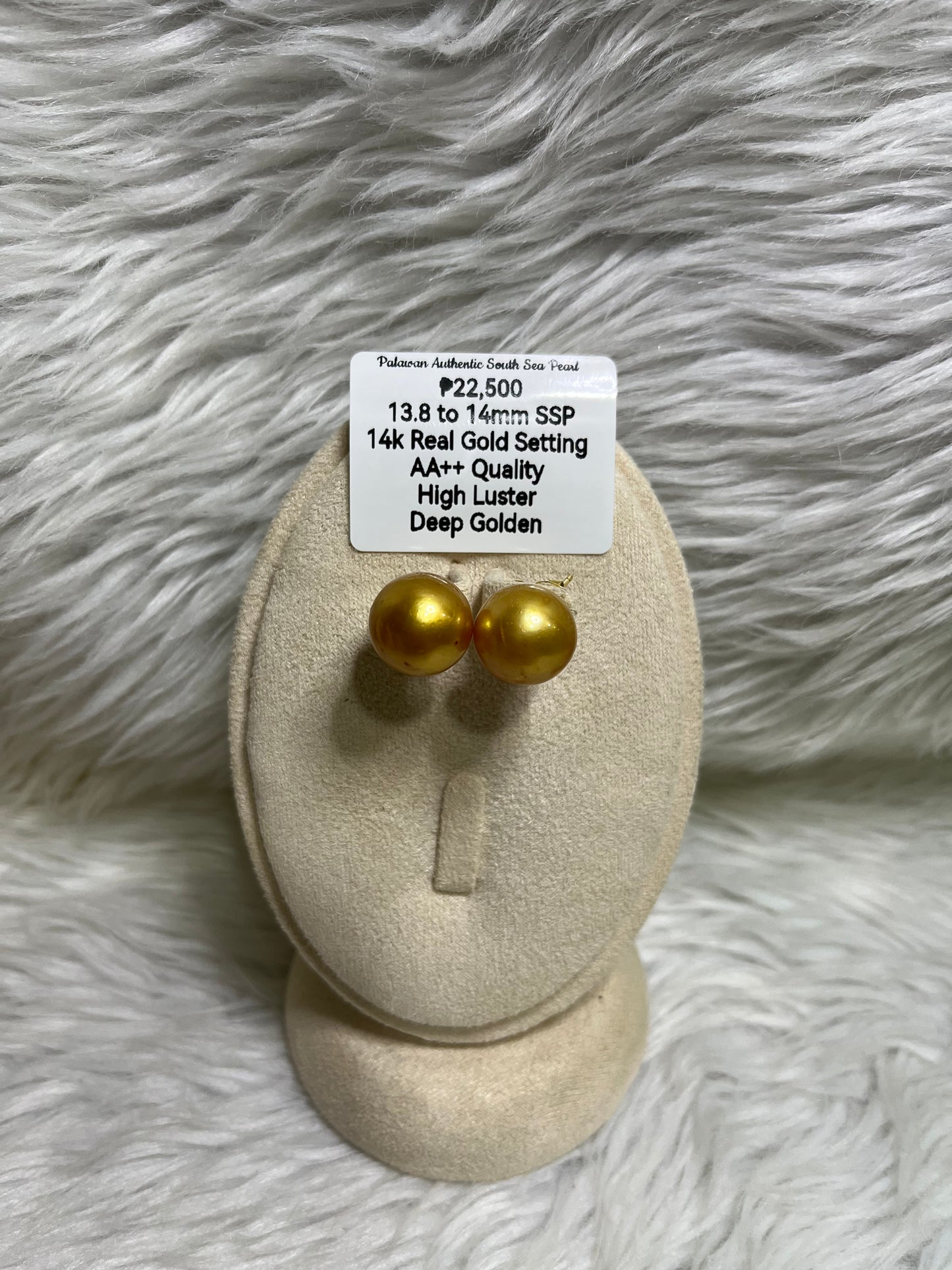 New Arrival! 13.8mm to 14mm Authentic Deep Golden South Sea Pearl Earrings in 14k Real Gold Settings