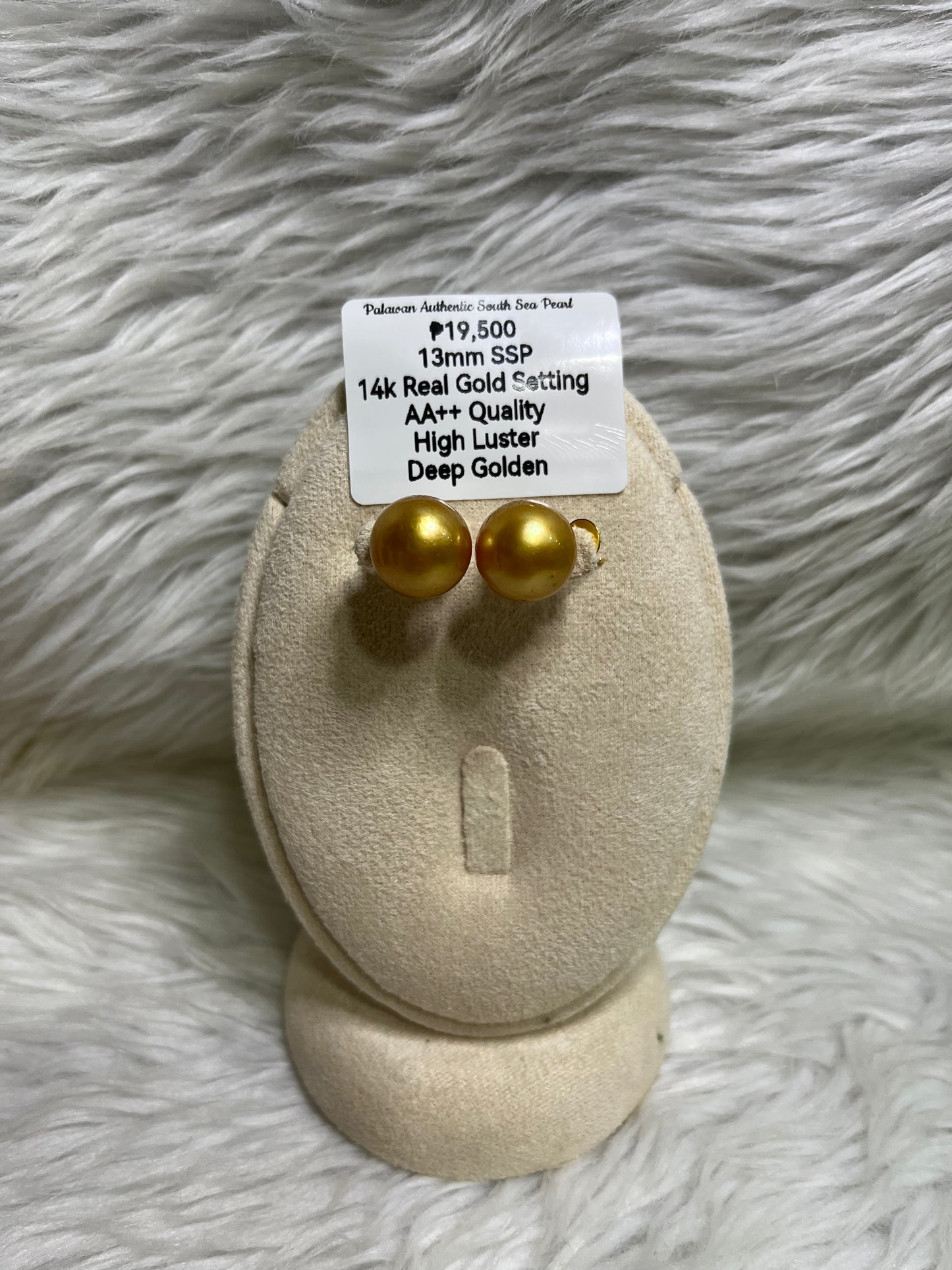 New Arrival! 13mm Authentic Deep Golden South Sea Pearl Earrings in 14k Real Gold Settings