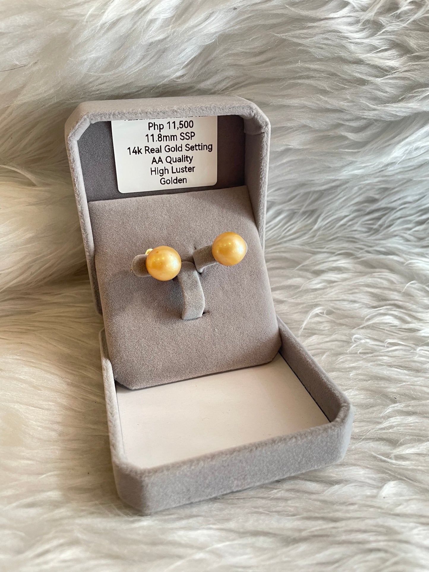 11.8mm Authentic Golden Color South Sea Pearl Earrings in 14k Real Gold Settings