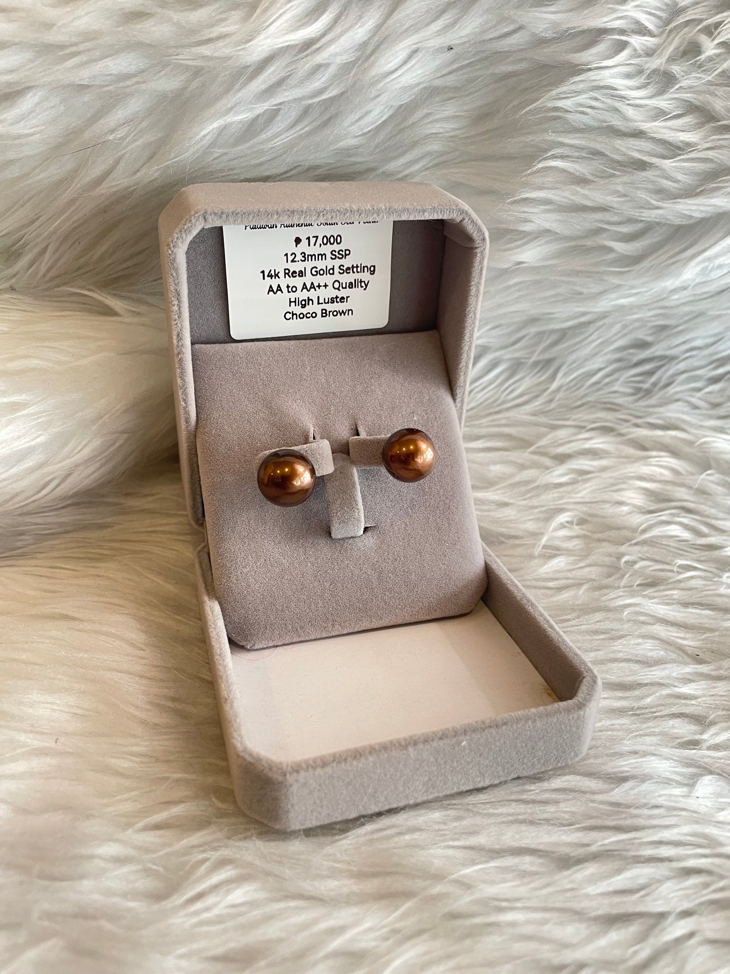 12.3mm Authentic Choco Brown Color South Sea Pearl Earrings in 14k Real Gold Settings