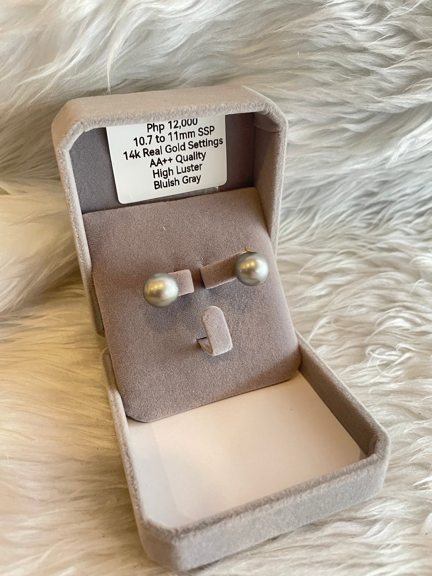 10.7mm to 11mm Authentic Bluish Gray Color South Sea Pearl Earrings in 14k Real Gold Settings