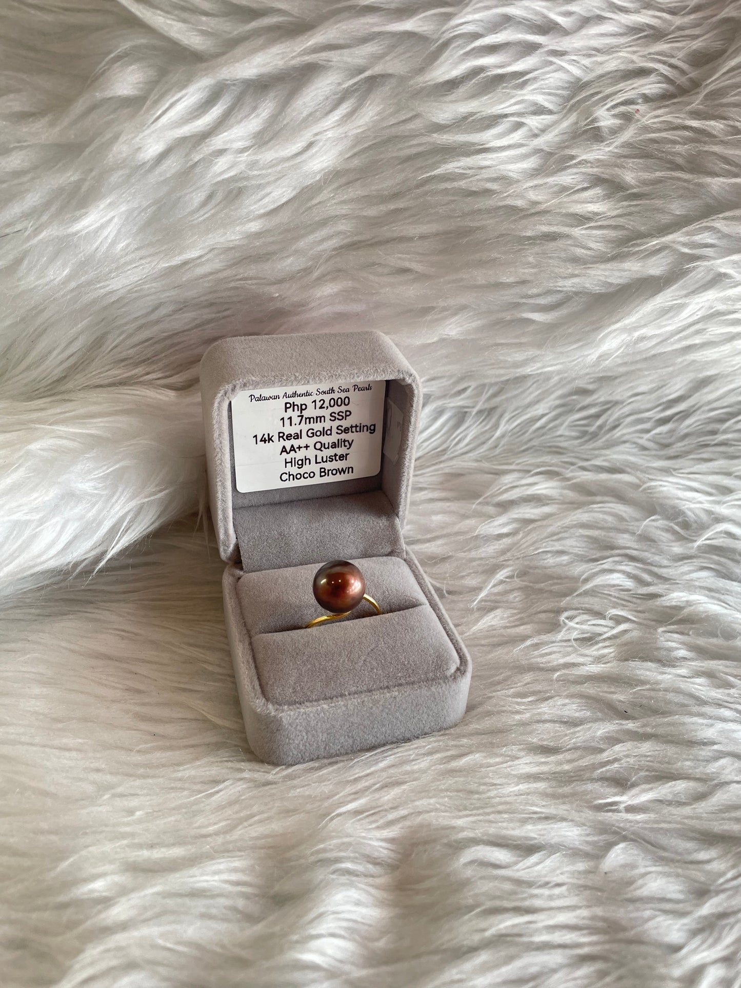 11.7mm Authentic Choco Brown South Sea Pearls Ring in 14K Gold Settings