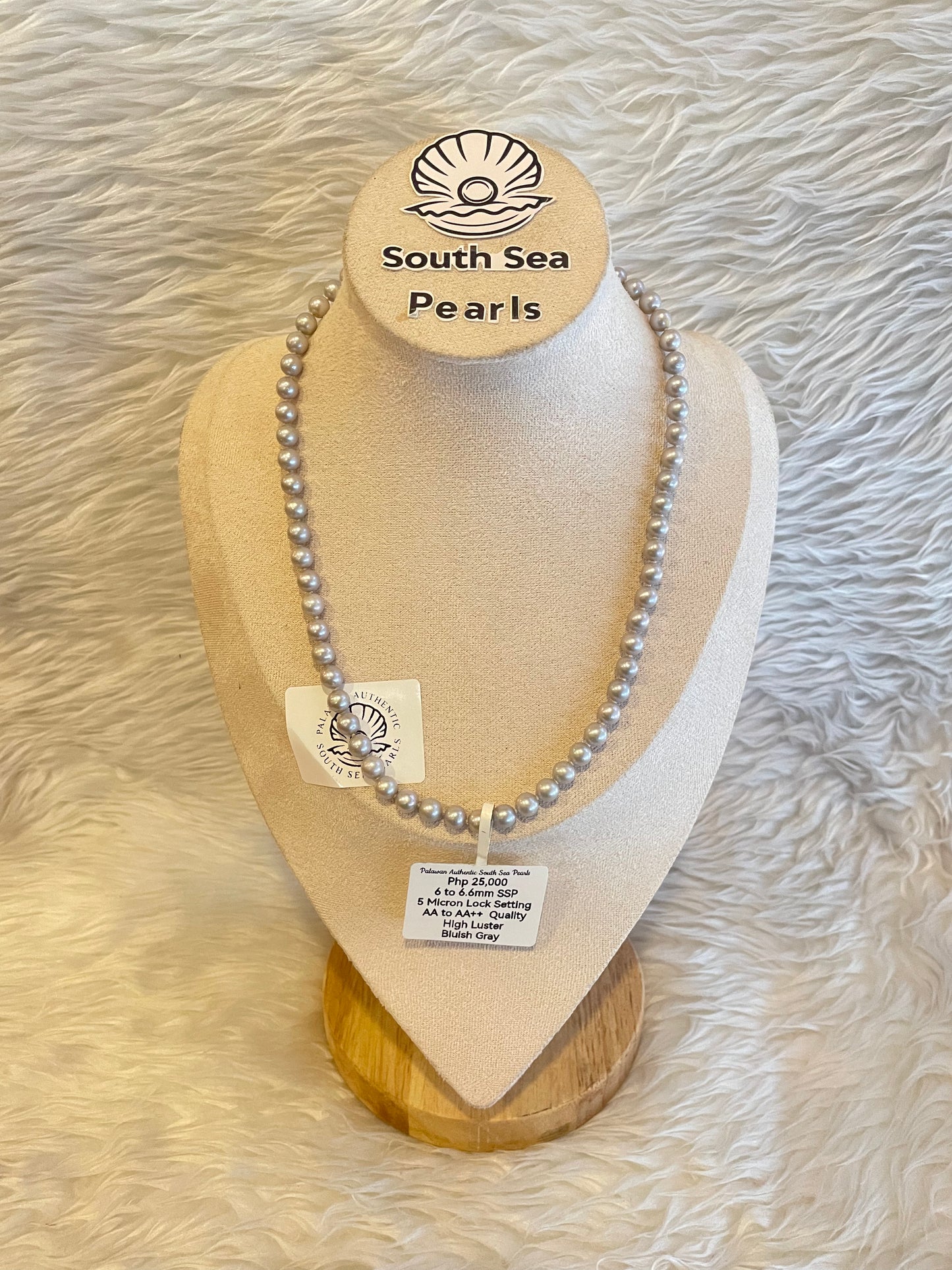 Authentic Bluish Gray Color South Sea Pearls Choker Necklace