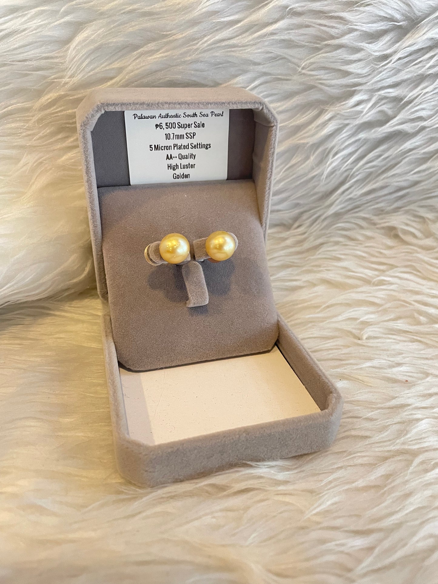 10.7mm Authentic Golden Color South Sea Pearl Earrings in 5 Micron Plated Settings