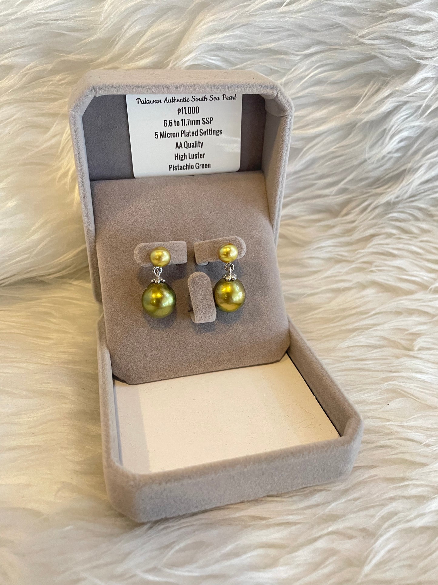 6.6mm to 11.7mm Authentic Pistachio Green Color South Sea Pearl Earrings in 5 Micron Plated Settings