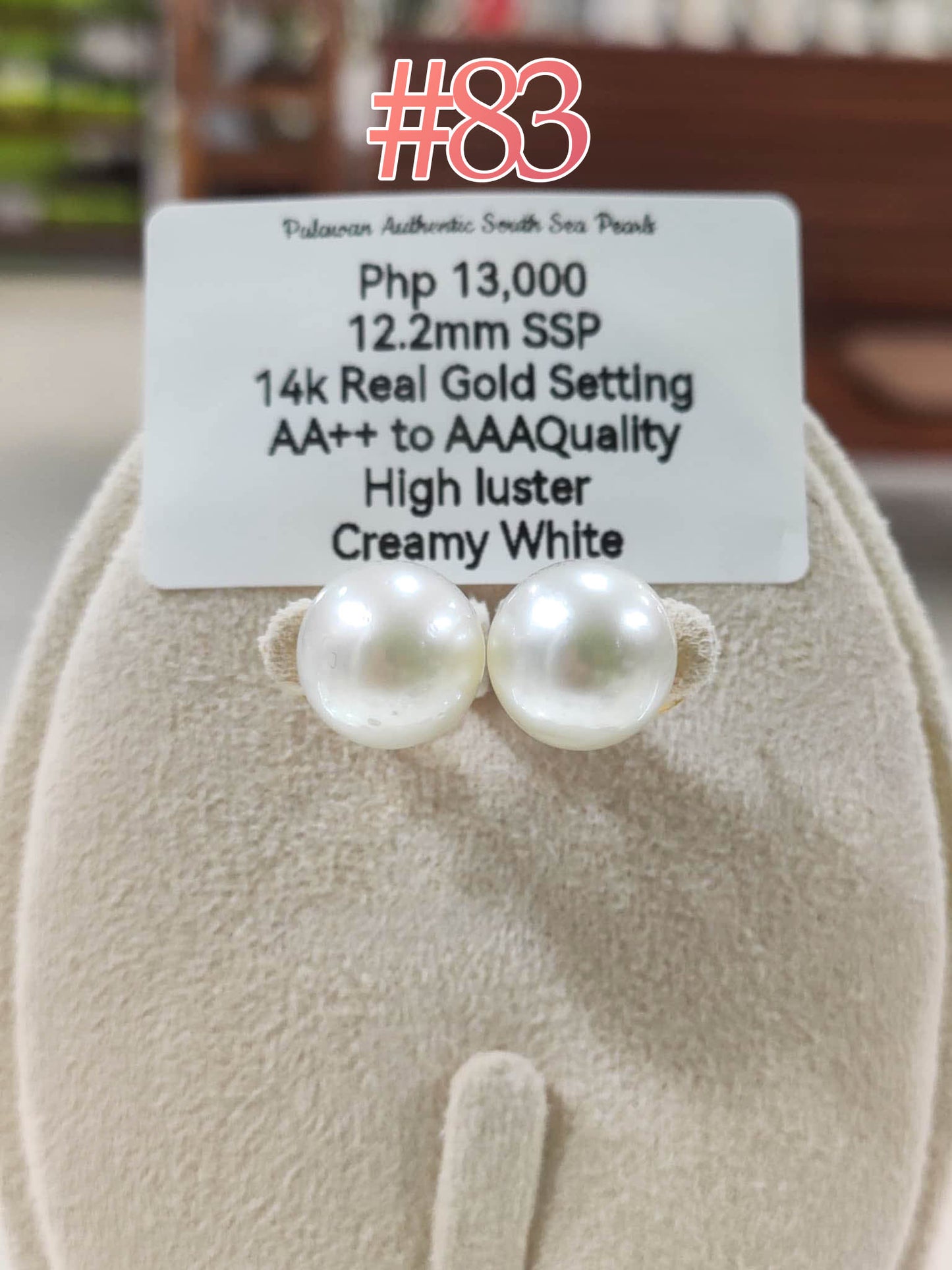 12.2mm Authentic Creamy White South Sea Pearls Stud Earrings in 14k Gold