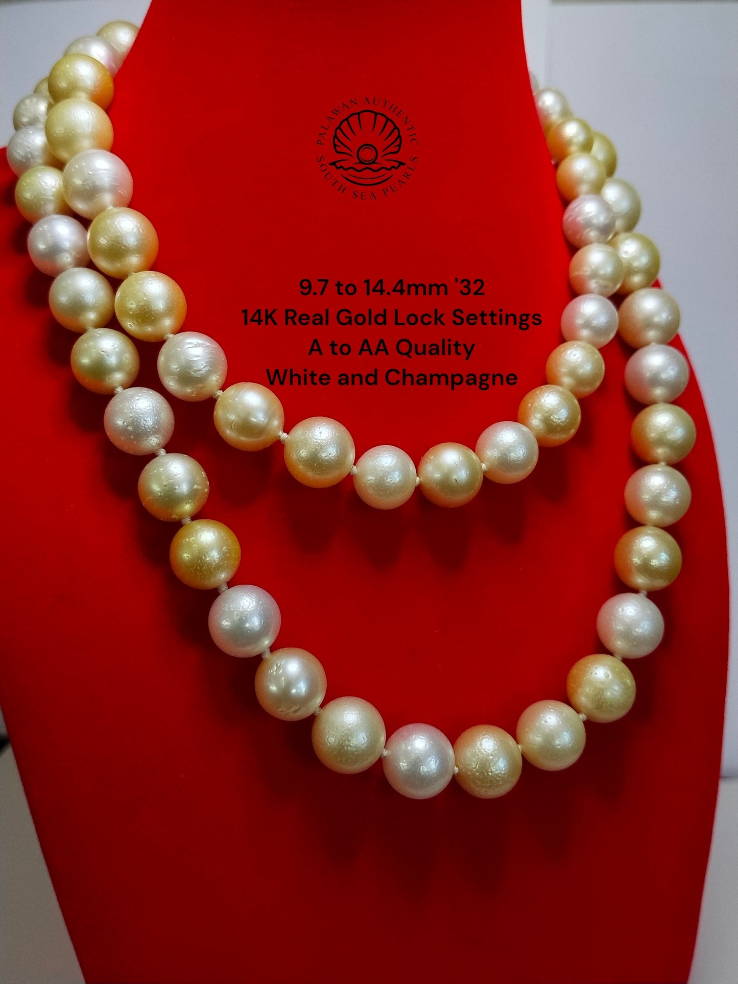 9.7 to 14.4mm Palawan Authentic White and Champagne Color South Sea Pearl Choker in 14K Real Gold Lock Settings