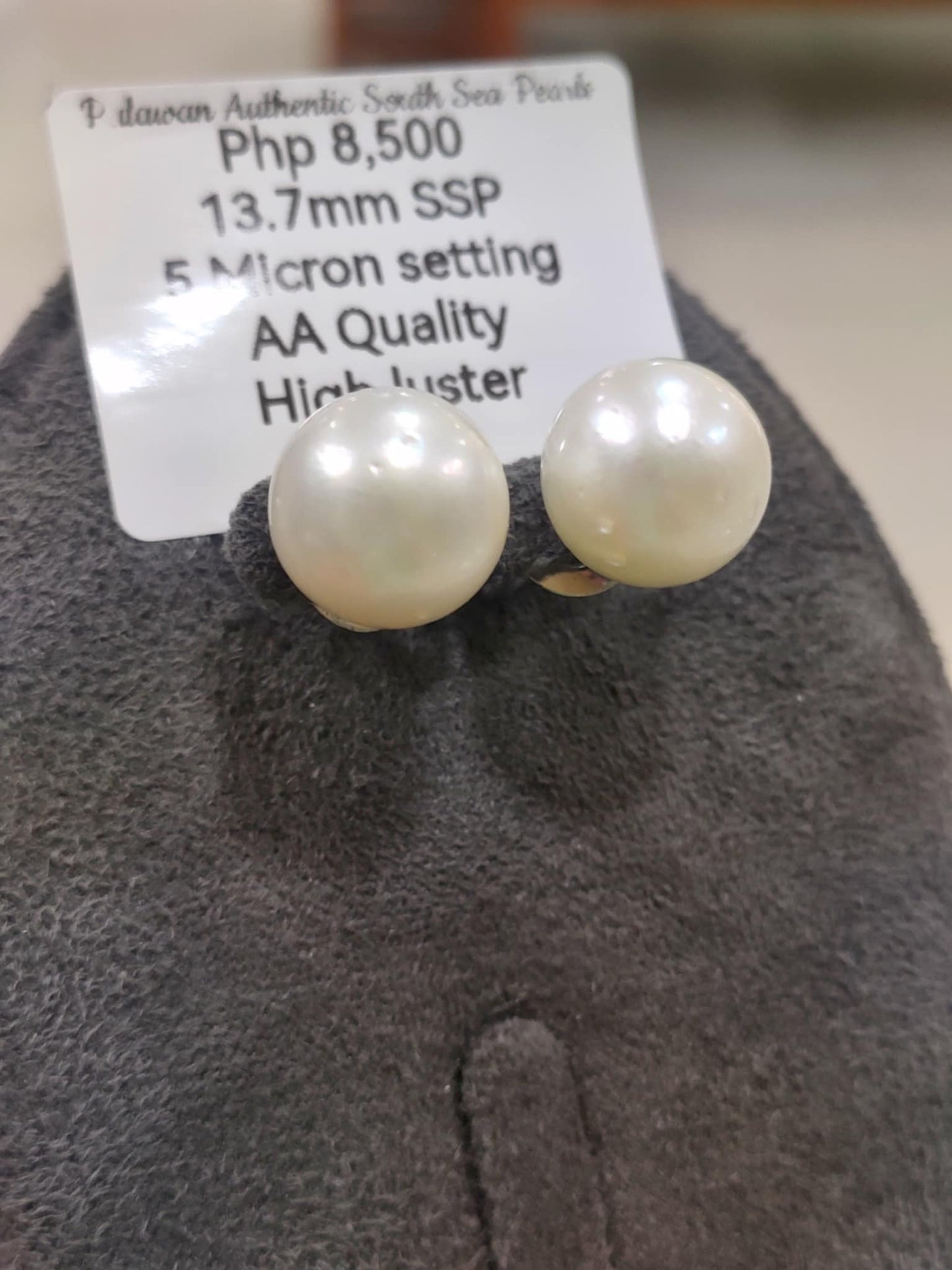 13.7mm Authentic White South Sea Pearls Earrings in 5 Micron Plated Settings