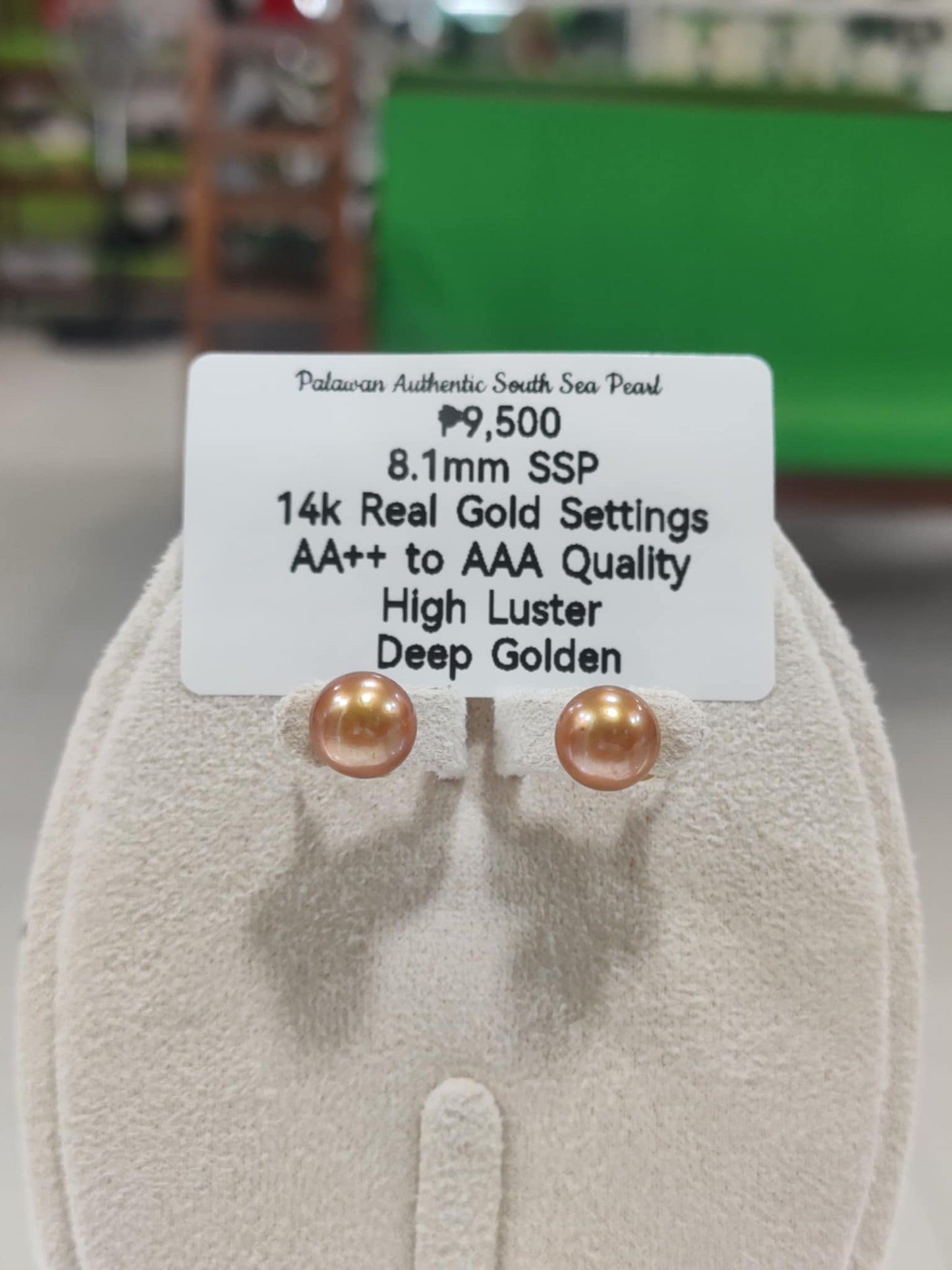 New Arrival! 8.1mm Authentic Deep Golden South Sea Pearls Earrings in 14k Gold Settings