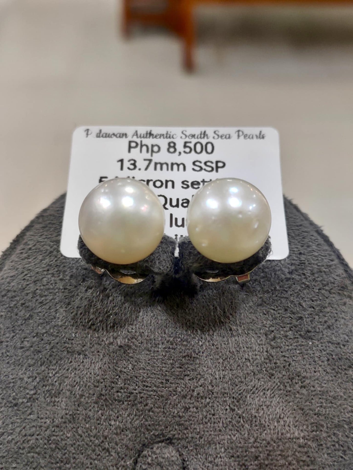 13.7mm Authentic White South Sea Pearls Earrings in 5 Micron Plated Settings