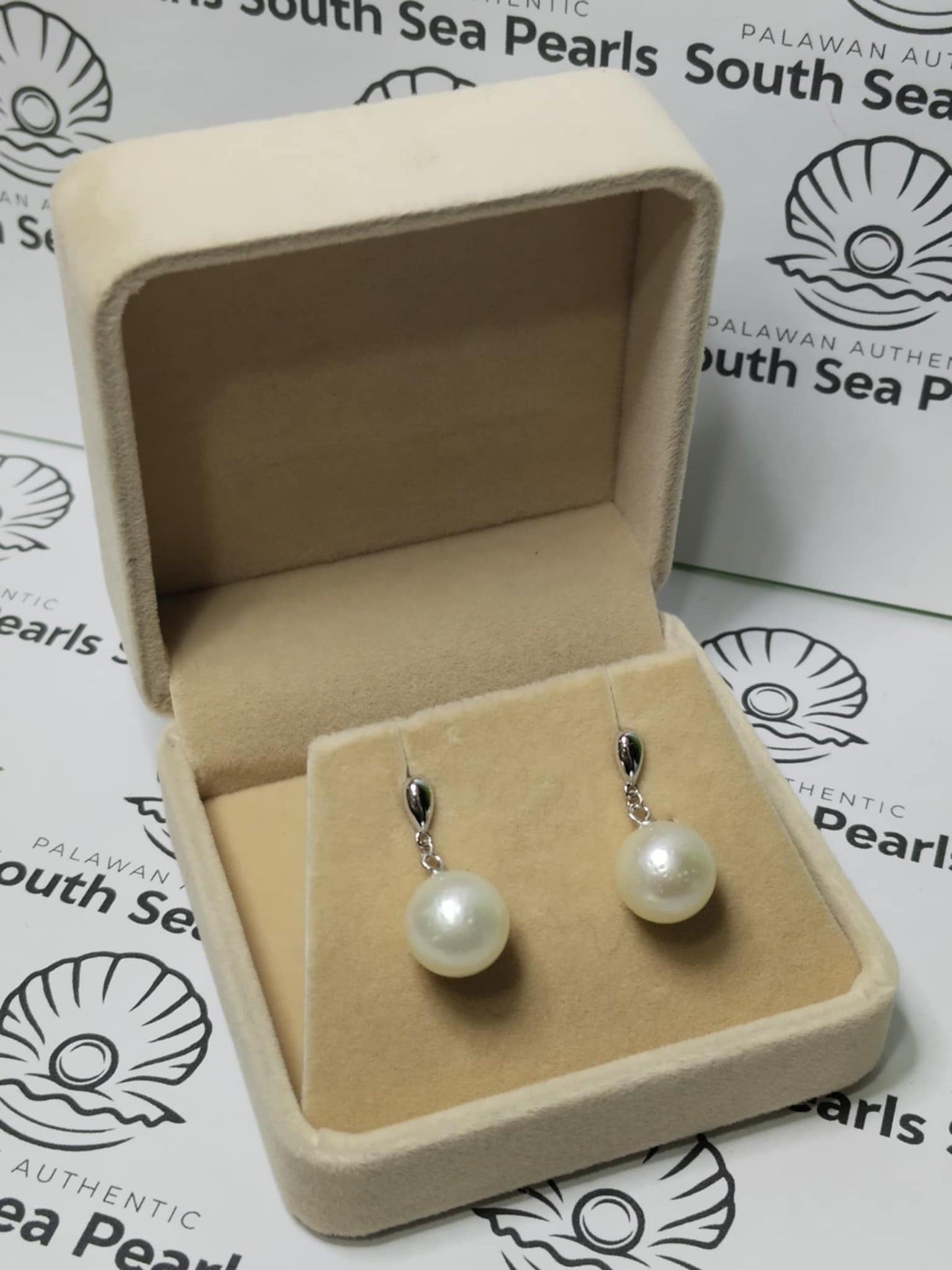 New Arrival! 11mm Authentic White South Sea Pearl Earrings in S925 Settings