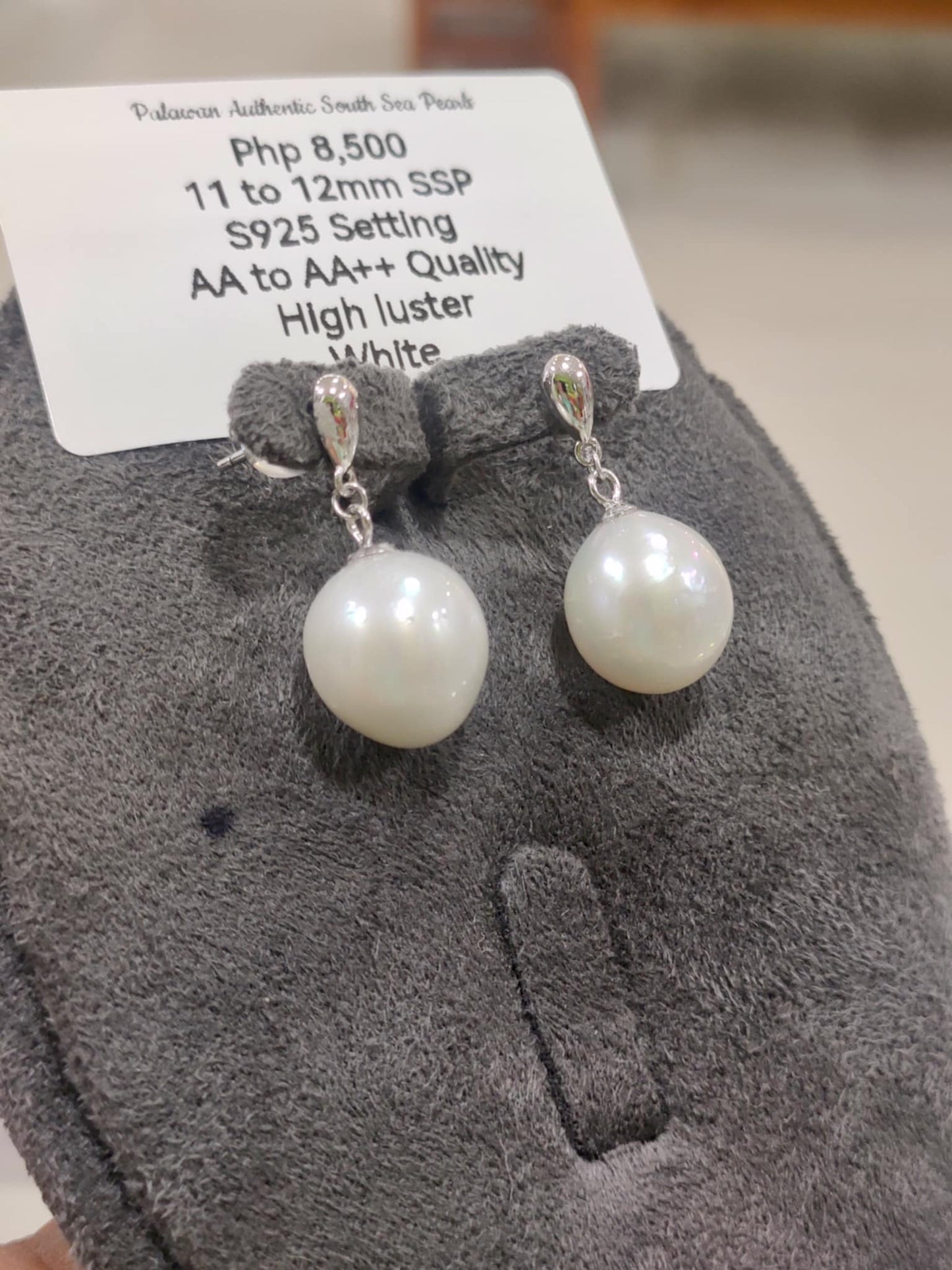 11mm to 12mm Authentic White South Sea Pearls Earrings in 5 Micron Plated Settings
