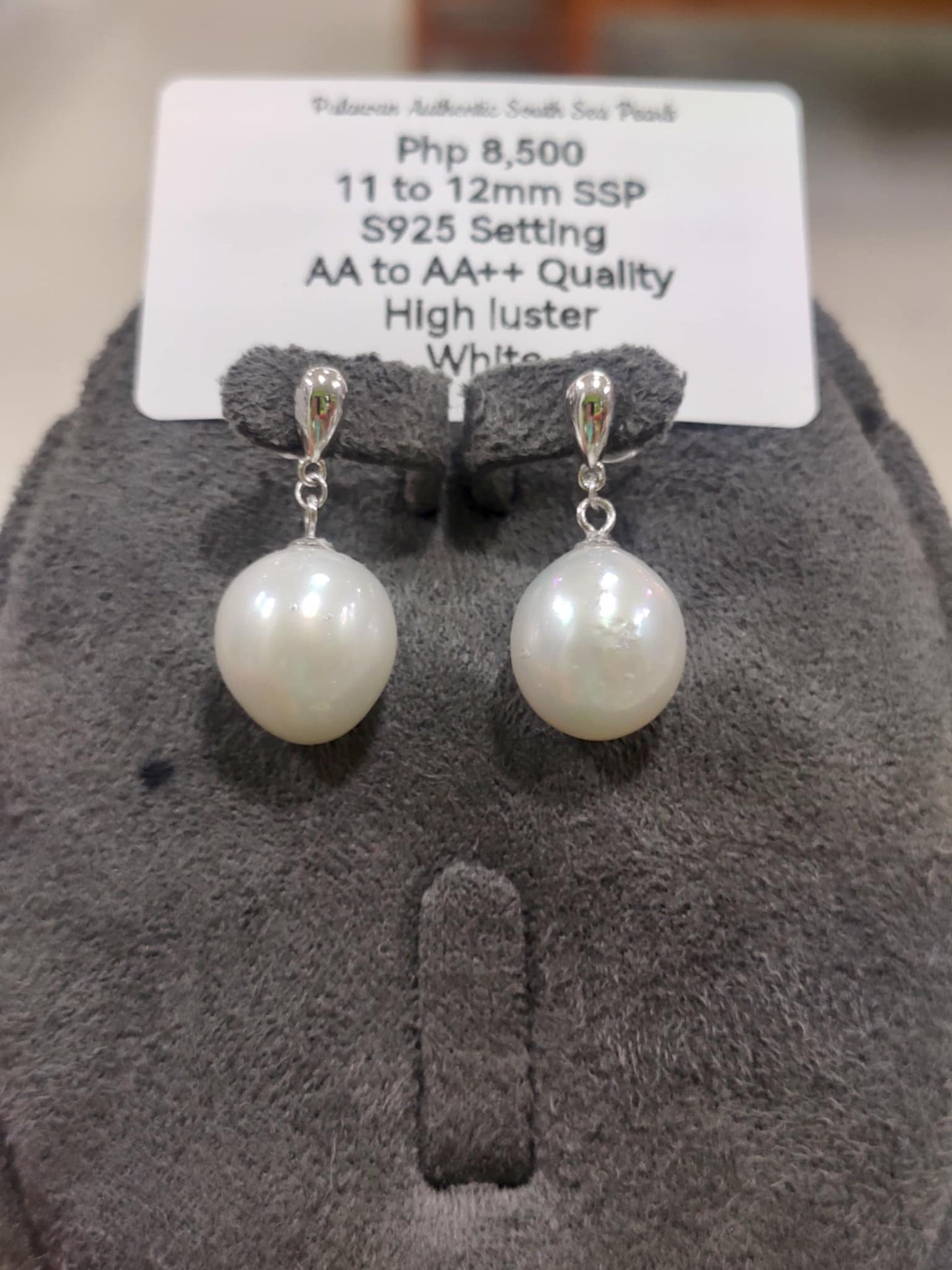 11mm to 12mm Authentic White South Sea Pearls Earrings in 5 Micron Plated Settings