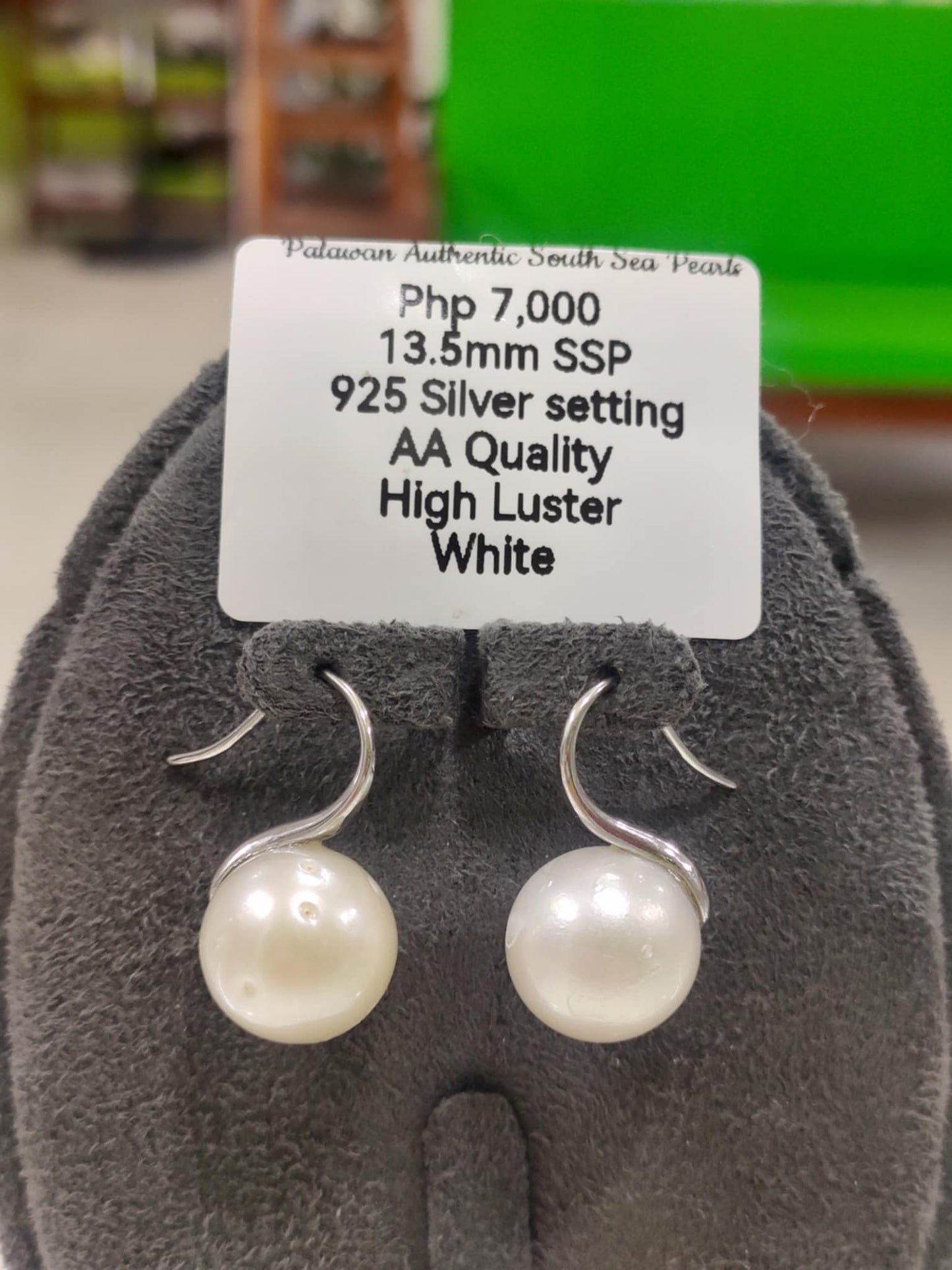 13.5mm Authentic White South Sea Pearl Earrings in 5 Micron Plated Settings