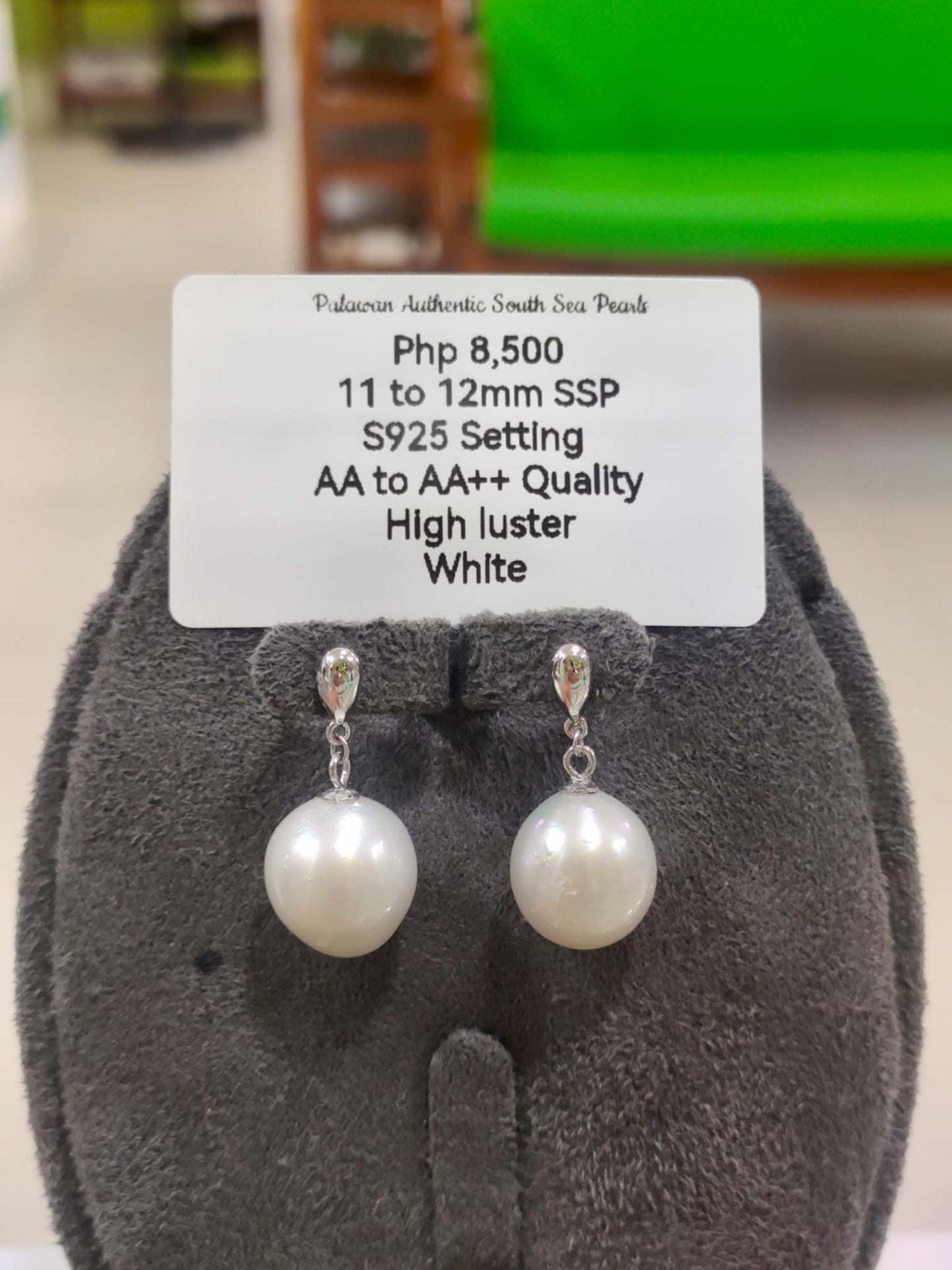 11mm to 12mm Authentic White South Sea Pearls Earrings in 5 Micron Plated Settings