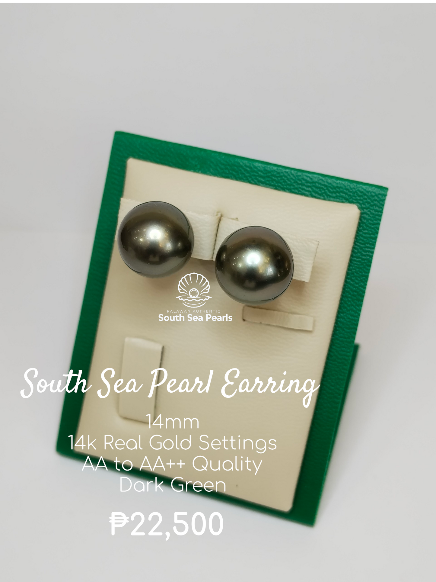 14mm Palawan Authentic Dark Green Color South Sea Pearl Earring in 14k Real Gold Settings