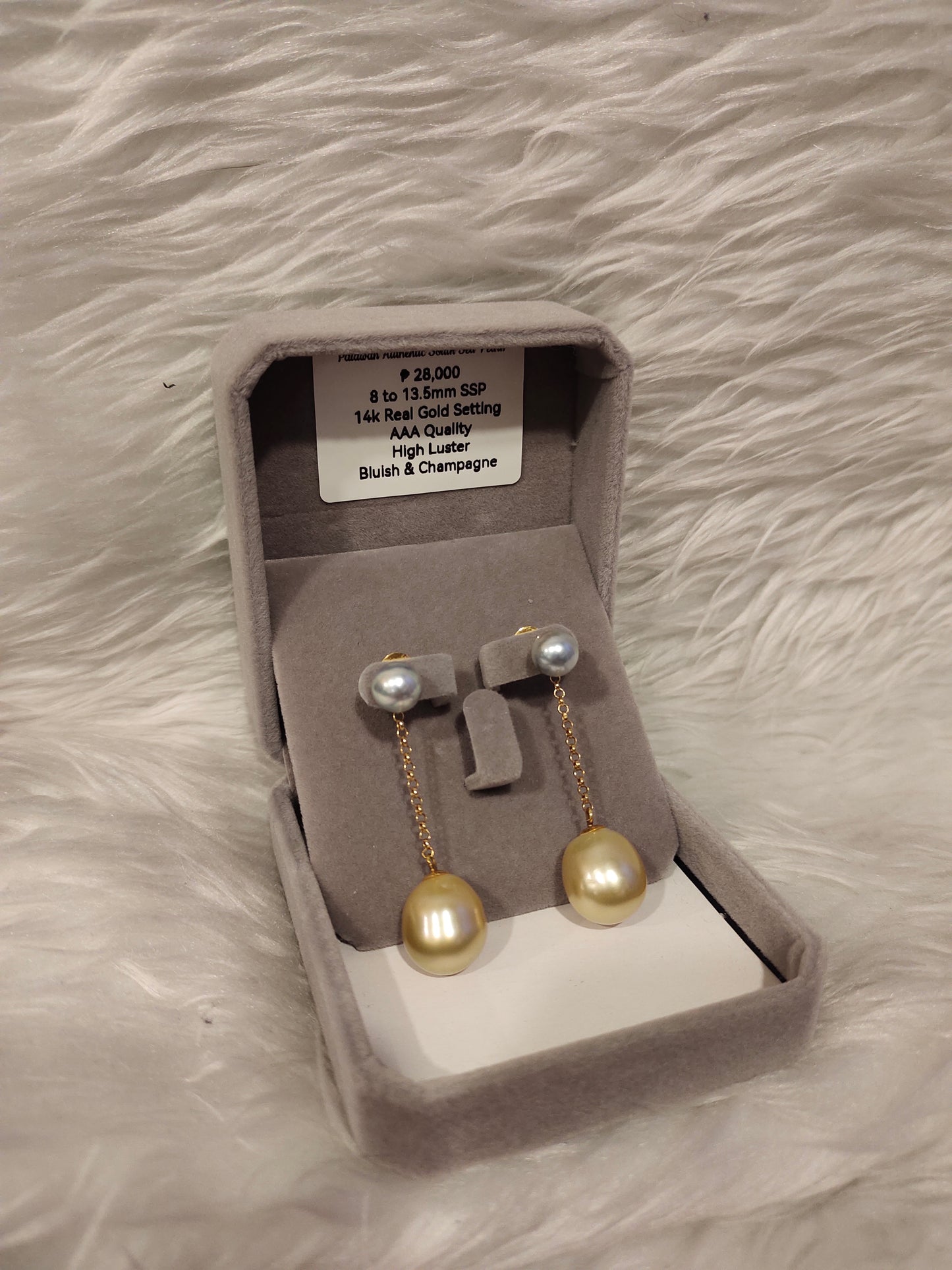 8mm to 13.5mm Authentic Bluish and White South Sea Pearl Earrings in 14k Real Gold Settings