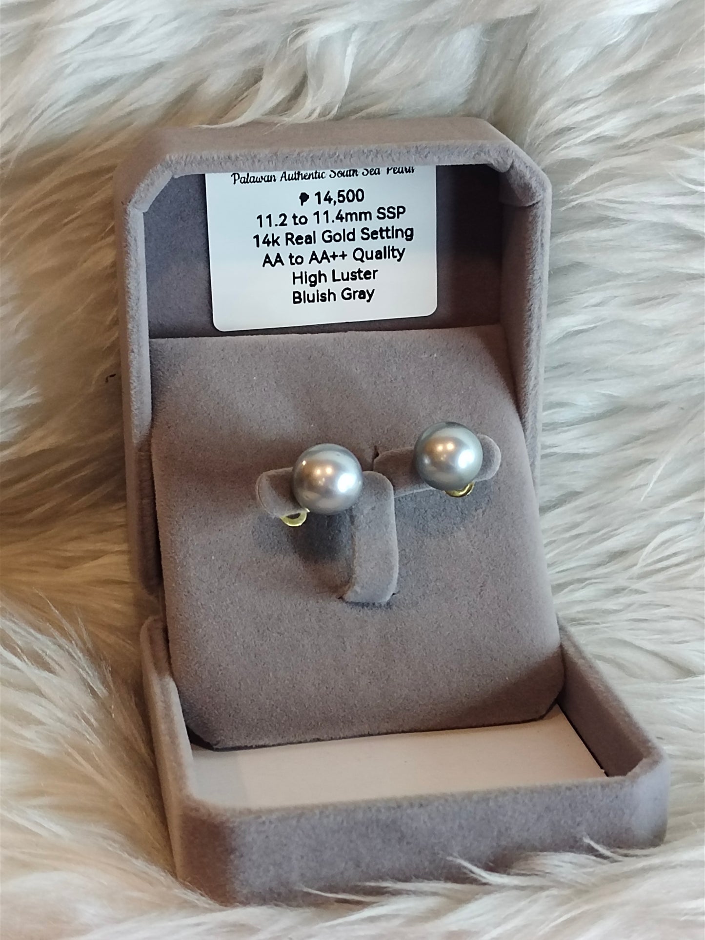 11.2mm to 11.4mm Authentic Bluish Gray South Sea Pearl Earrings in 14k Real Gold Settings