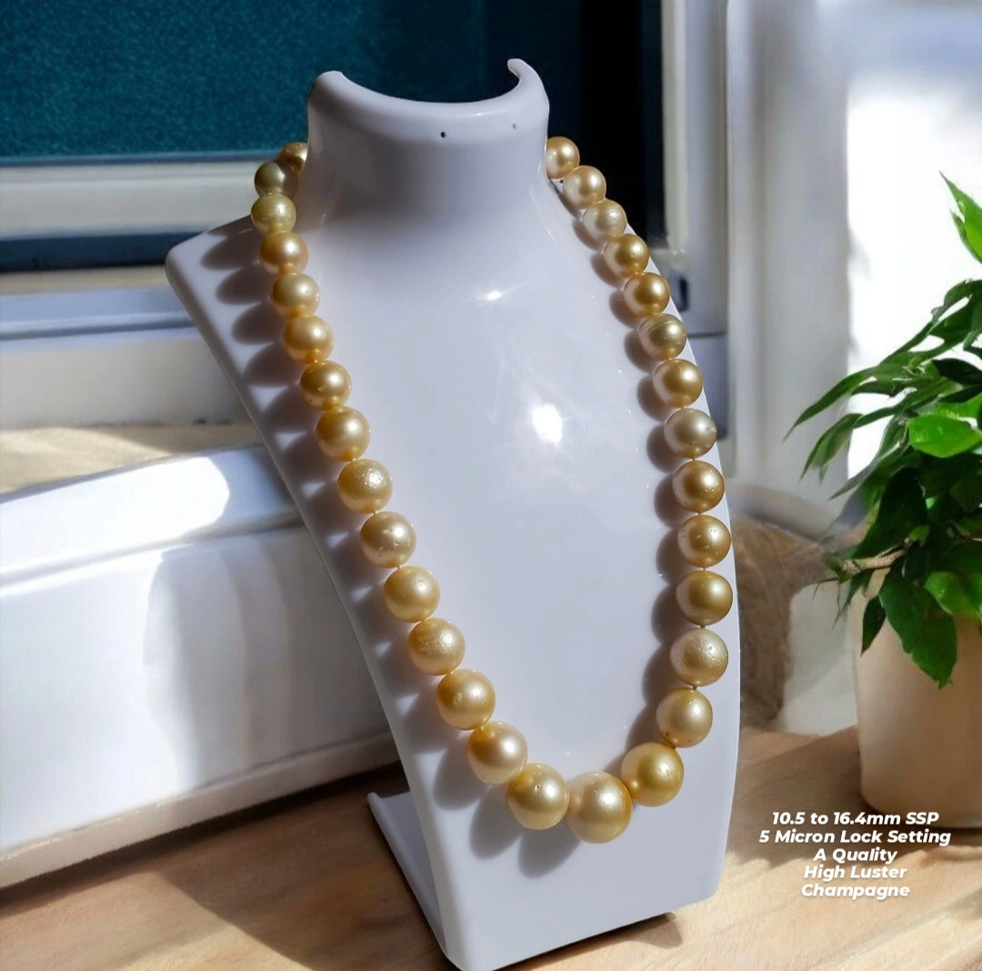 New Arrival! 10.5 to 16.4mm Authentic Champagne Color South Sea Pearl Chocker In 5 Micron Lock Setting