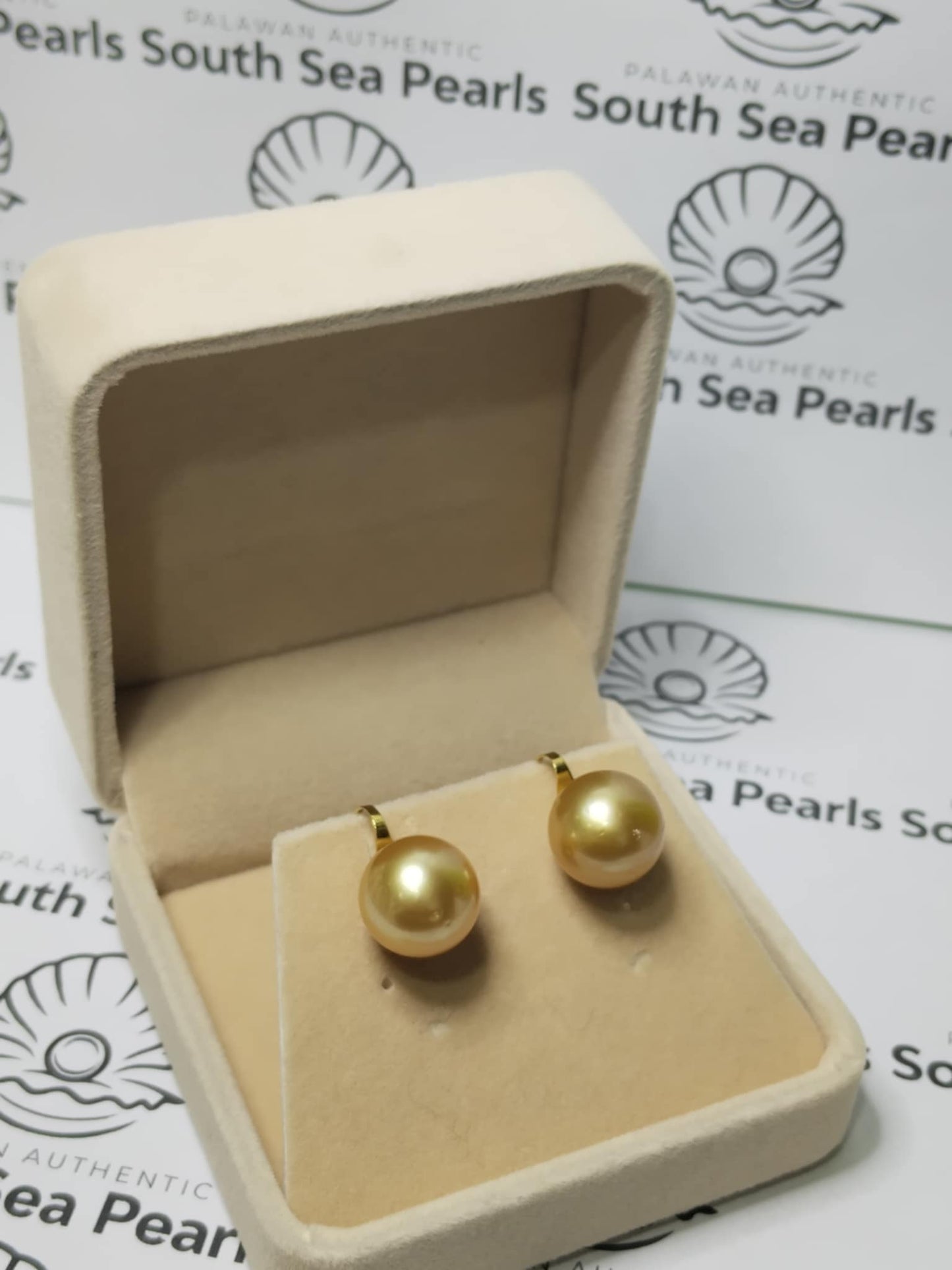 New Arrival! 13mm Authentic Golden Color South Sea Pearl Earrings in 14k Real Gold Settings