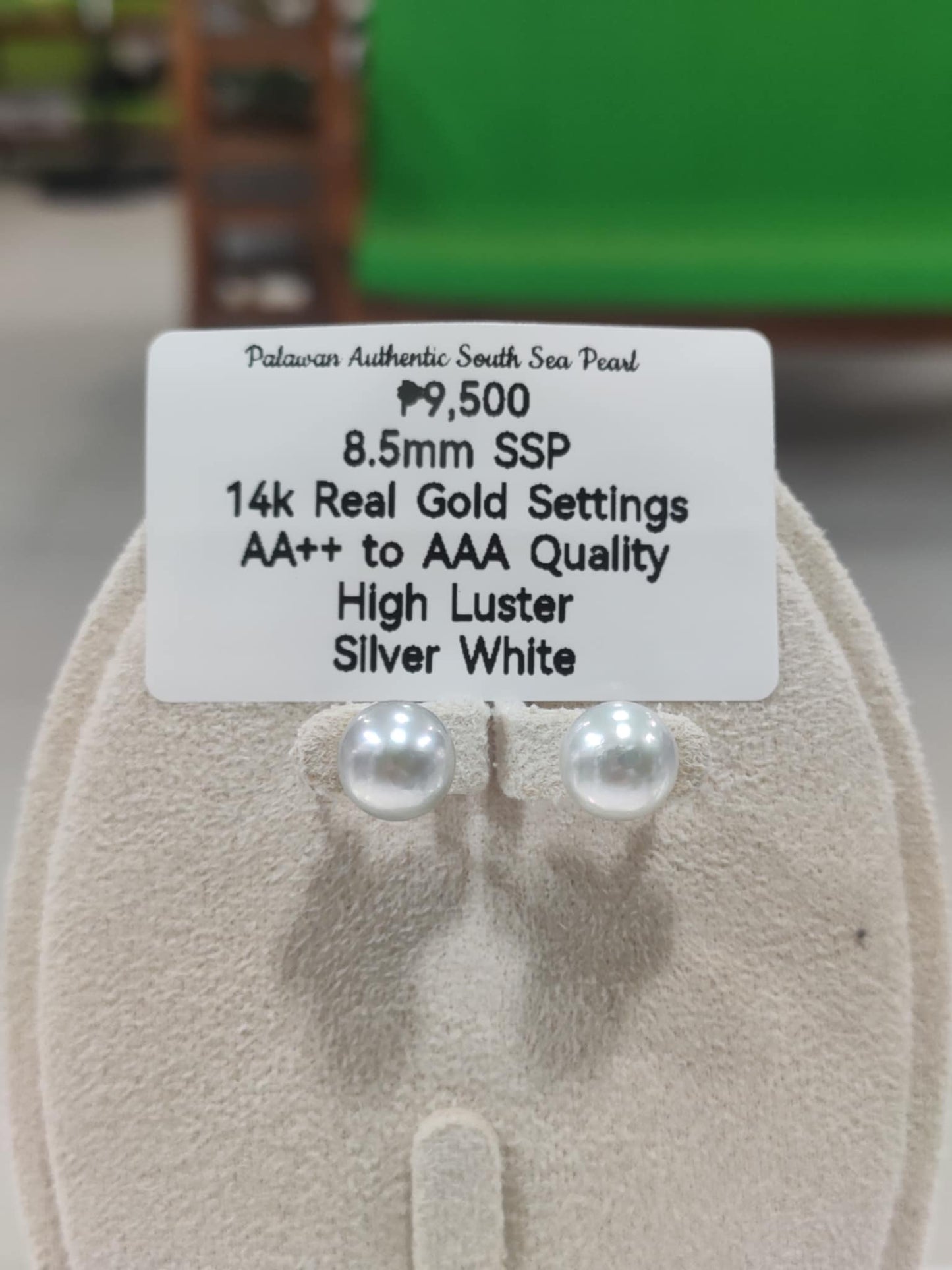New Arrival! 8.5mm Authentic Silver White South Sea Pearls Earrings in 14k Gold Settings