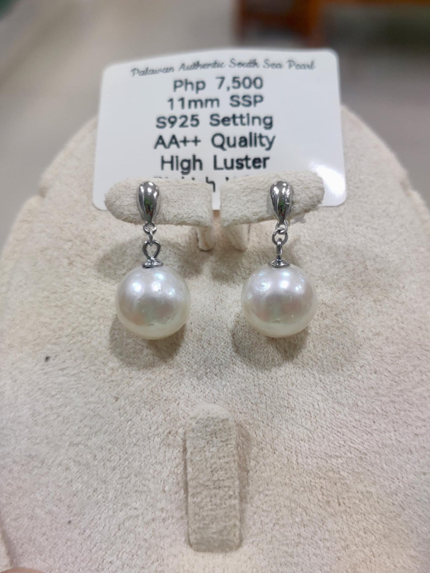 11mm to 12mm Authentic White South Sea Pearls Earrings in 5 Micron Plated Settings