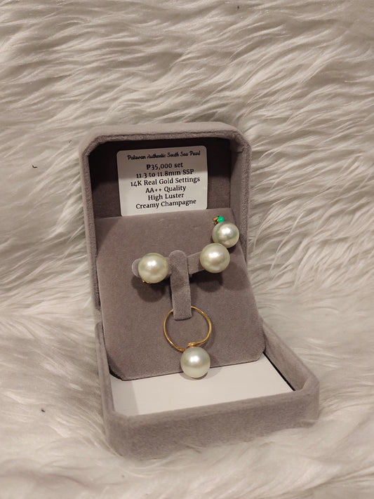 11.3mm to 11.8mm Authentic Creamy Champagne Color South Sea Pearl Sets in 14k Real Gold Settings