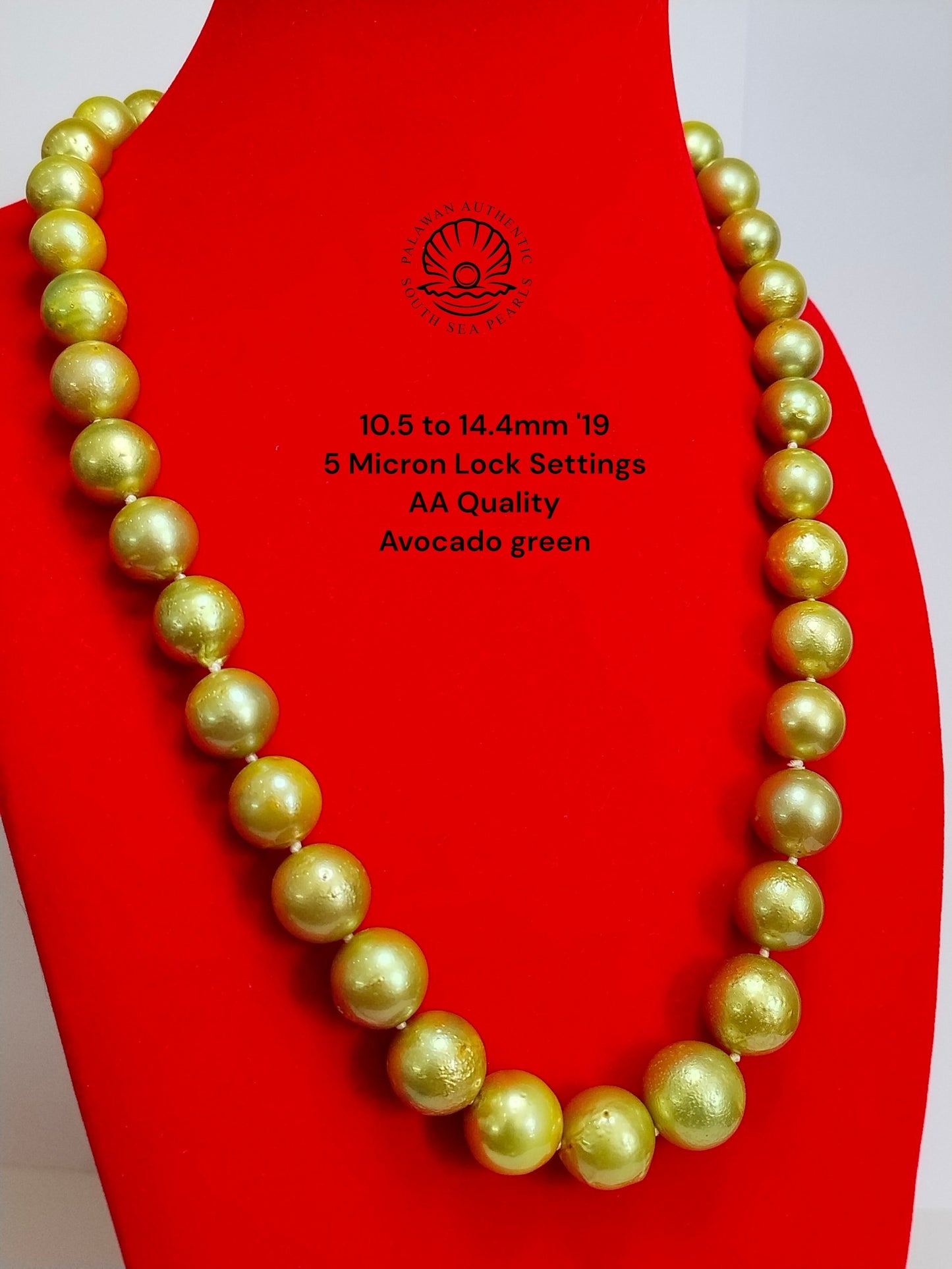 10.5 to 14.4mm Palawan Authentic Avocado Green Color South Sea Pearl Choker in 5 Micron Lock Settings