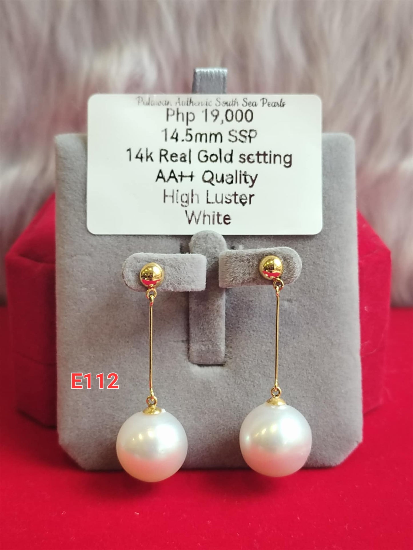 14.5mm Authentic White South Sea Pearls Earrings in 14k Gold Settings