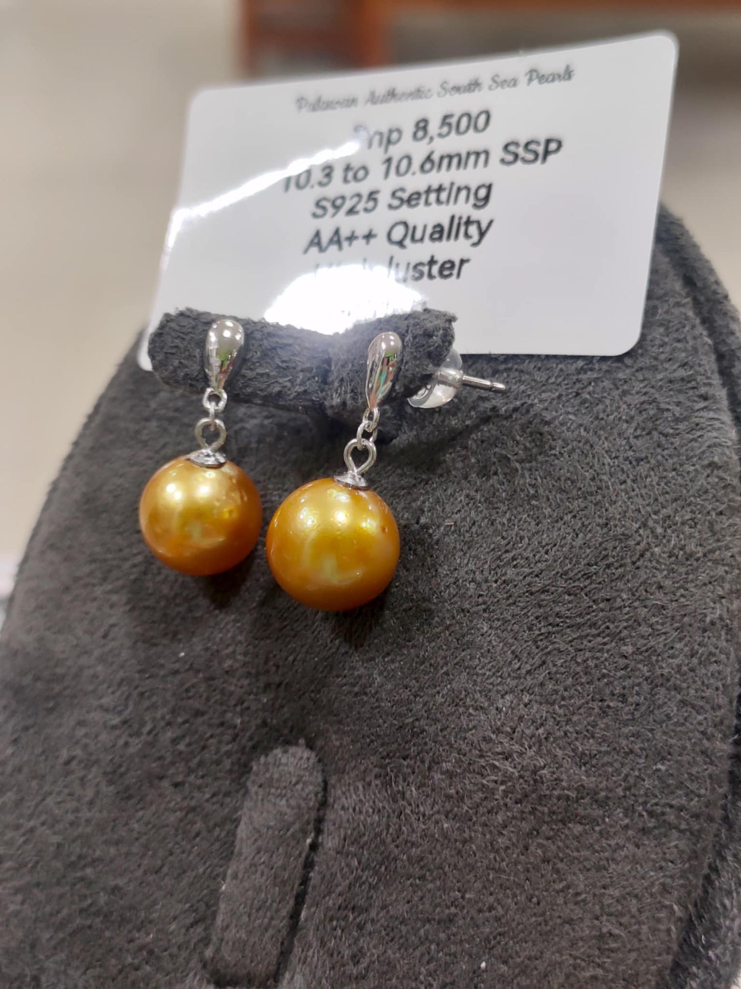 10.3mm to 10.6mm Authentic South Sea Pearls Earrings in 5 Micron Plat