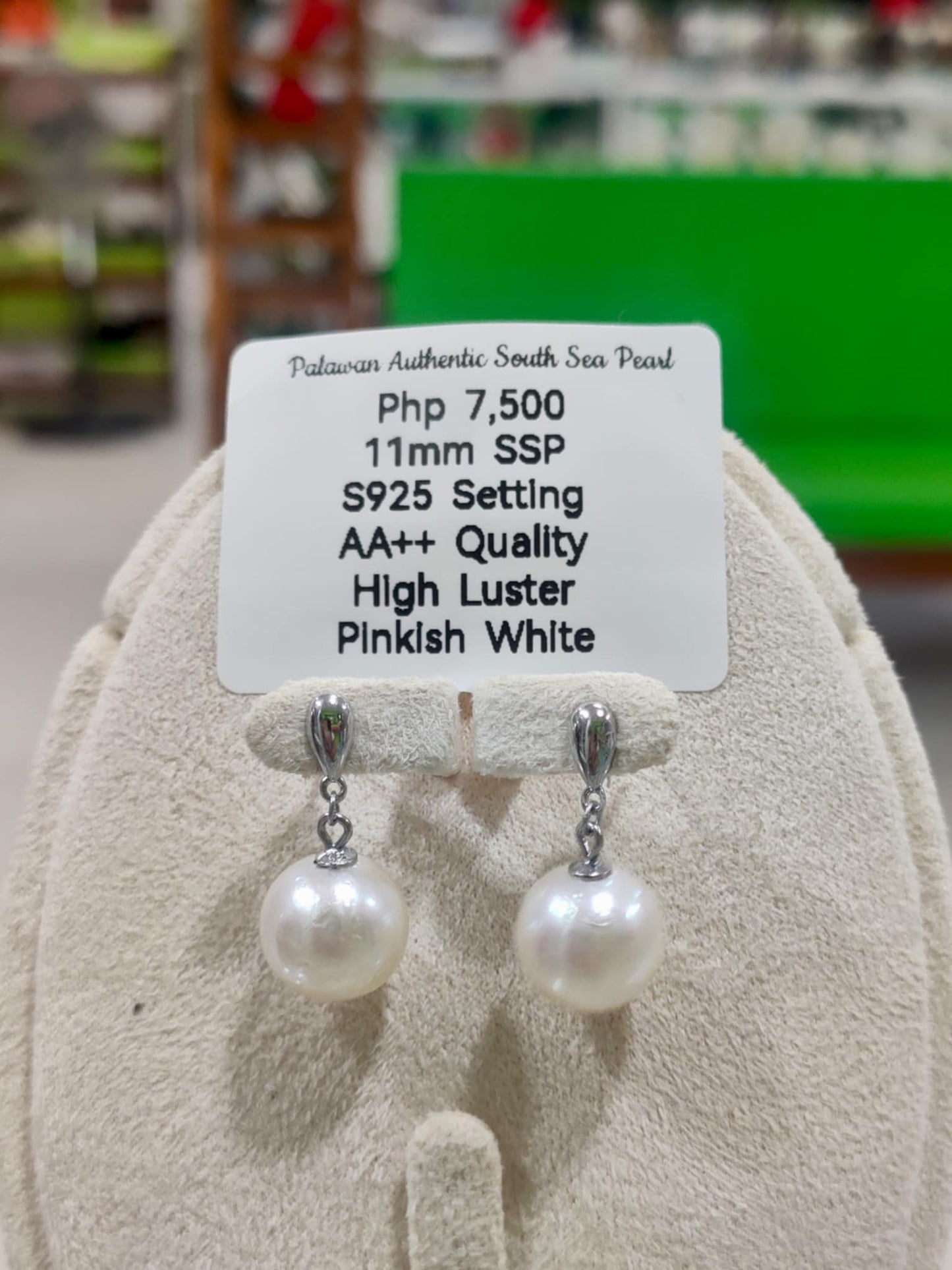 11mm to 12mm Authentic White South Sea Pearls Earrings in 5 Micron Plated Settings