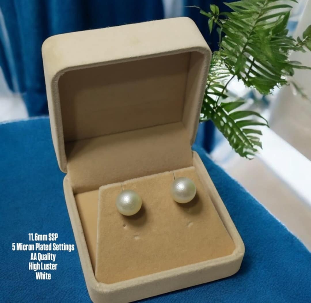 New Arrival! 11.6mm Authentic White South Sea Pearl Earrings in 5 Micron Plated Settings