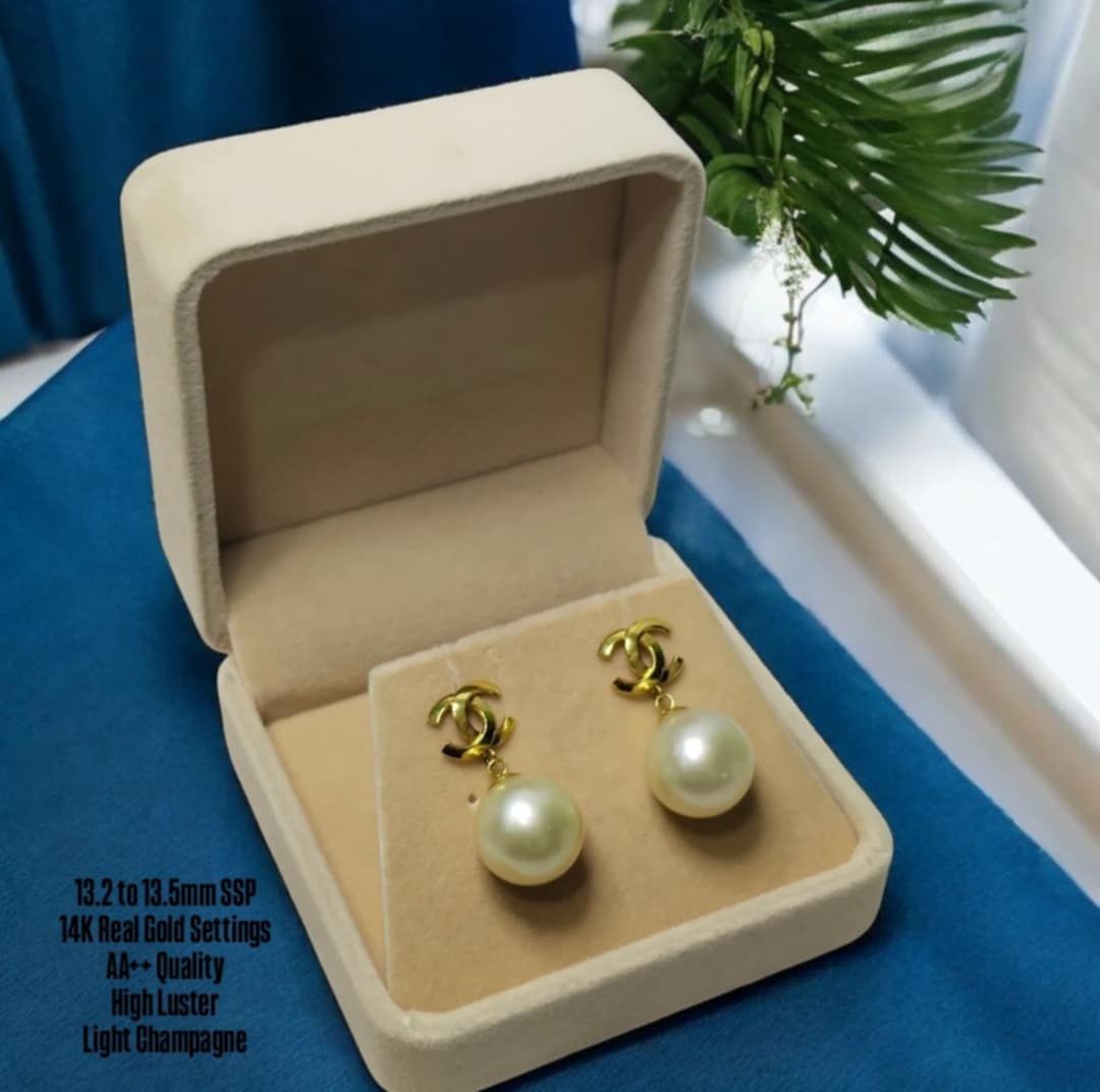 New Arrival! 13.2mm to 13.5mm Authentic Light Champagne Color South Sea Pearls Special Design Earrings in 14k Real Gold Settings