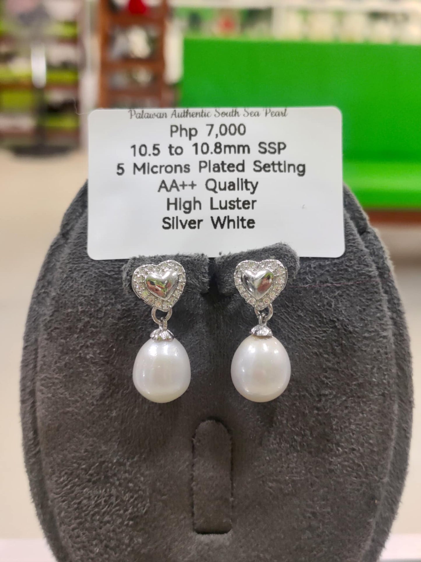 10.5mm to 10.8mm Authentic Silver White Color South Sea Pearls Earrings in 5 Micron Plated Settings
