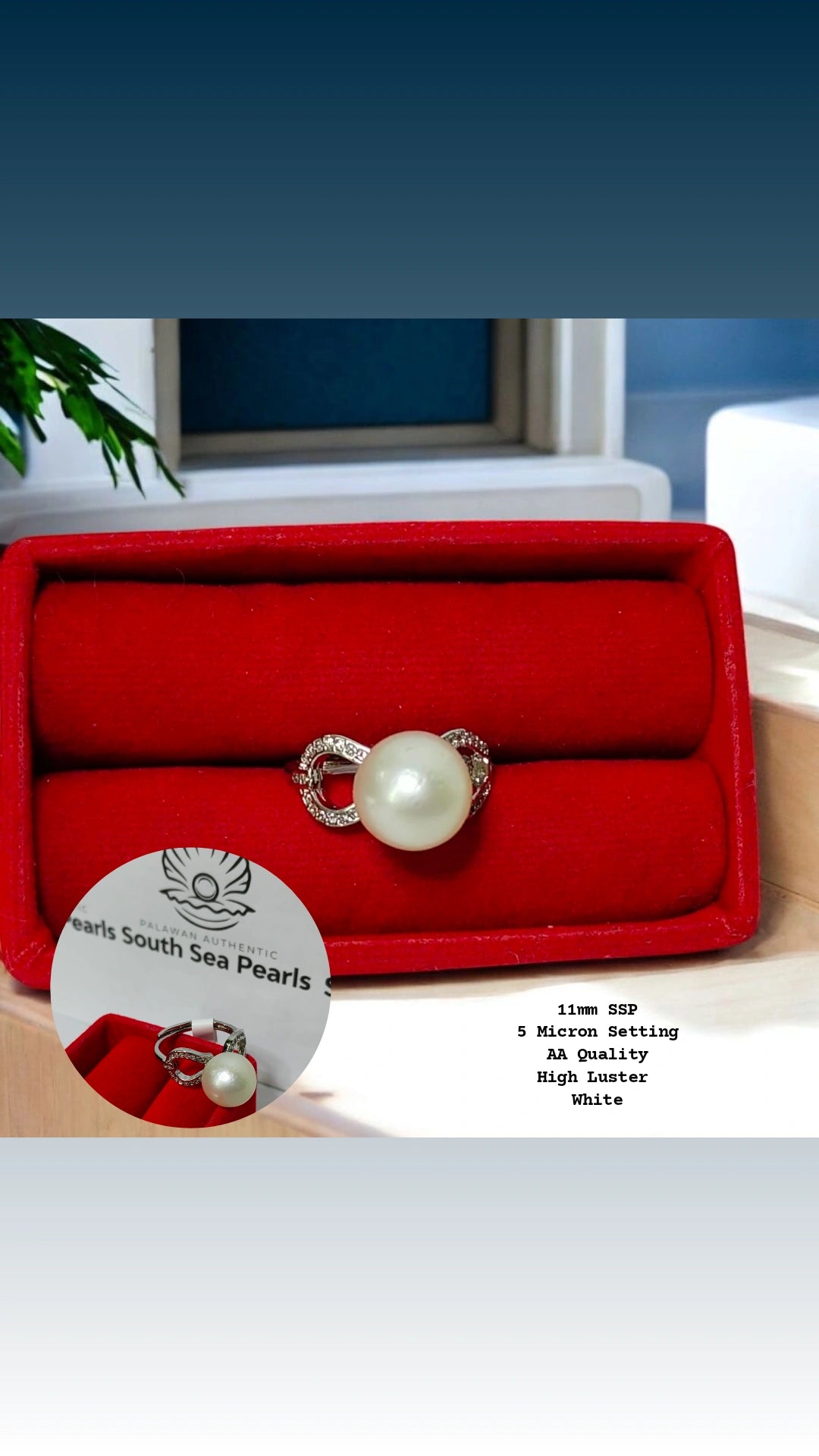 New Arrival! 11.1mm Authentic White South Sea Pearl Ring In 5 Micron Setting