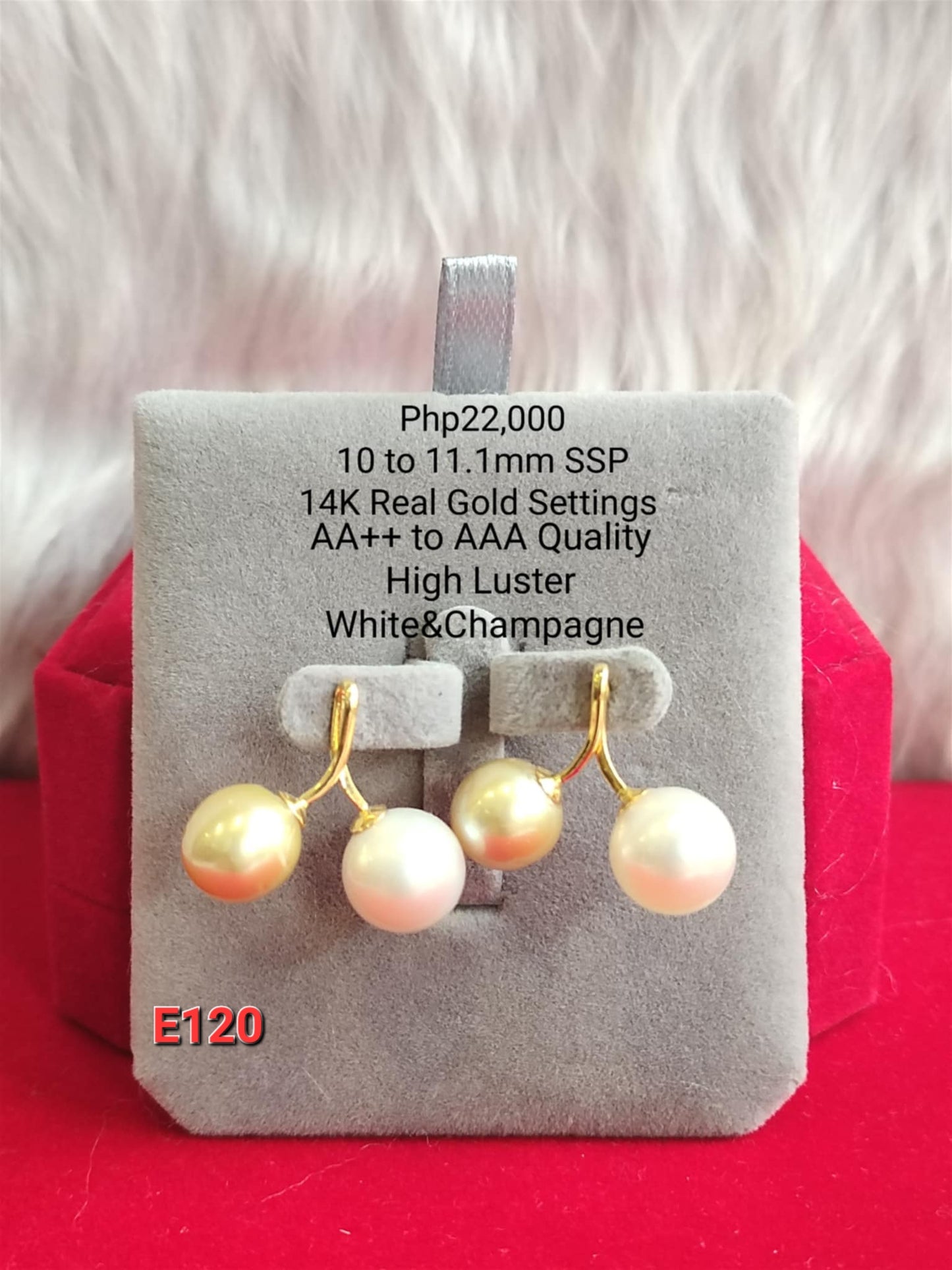 10mm to 11.1mm Authentic White and Champagne Color South Sea Pearls Earrings in 14k Gold Settings