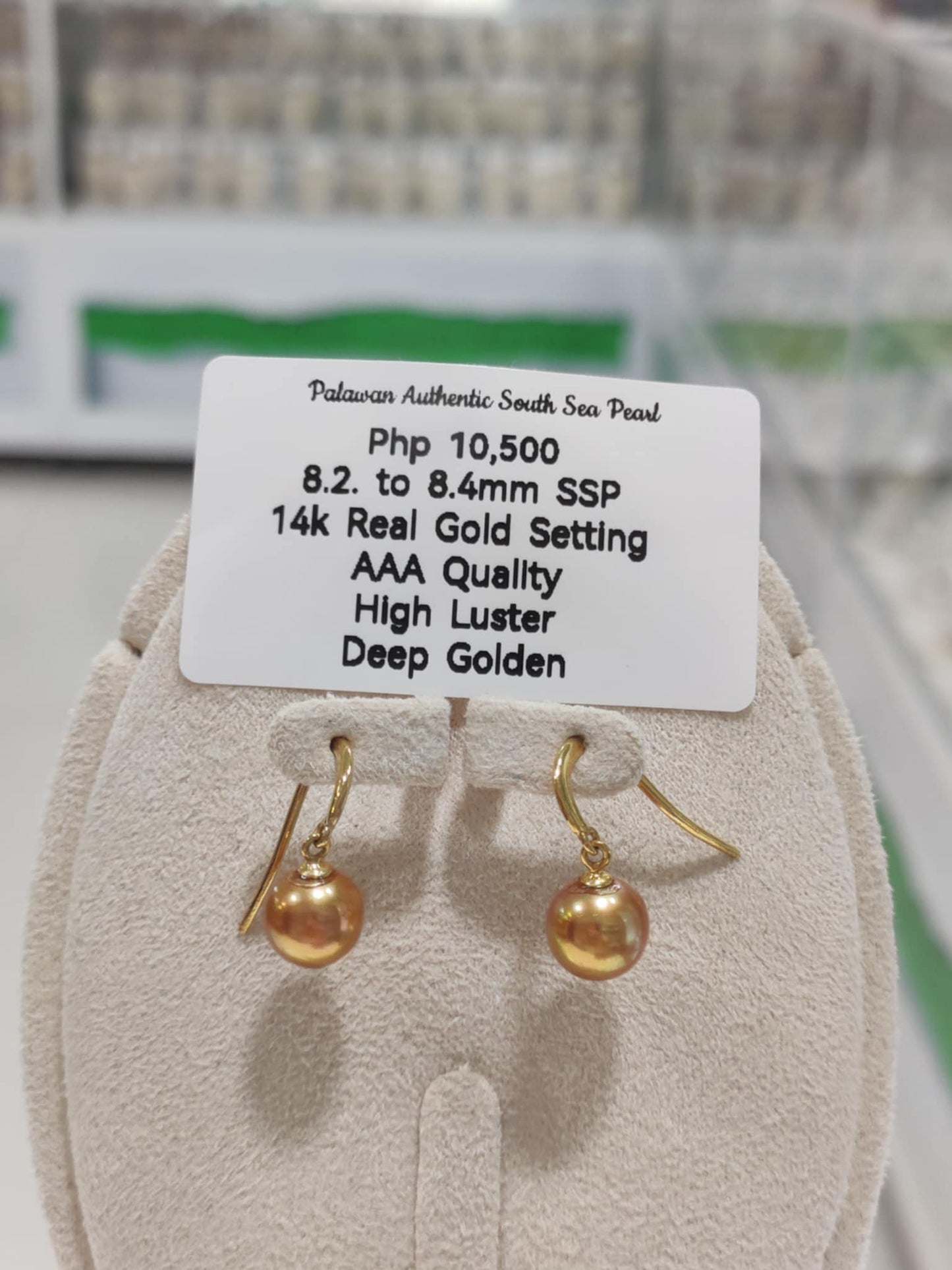 New Arrival! 8.2mm to 8.4mm Authentic Deep Golden South Sea Pearls Earrings in 14k Gold Settings