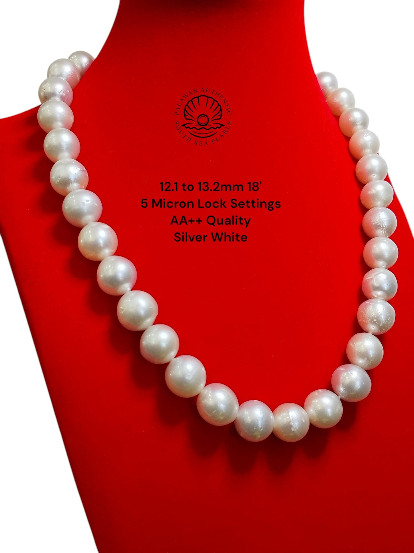 12.1 to 13.2mm Palawan Authentic Silver White Color South Sea Pearl Choker in 5 Micron Lock Settings