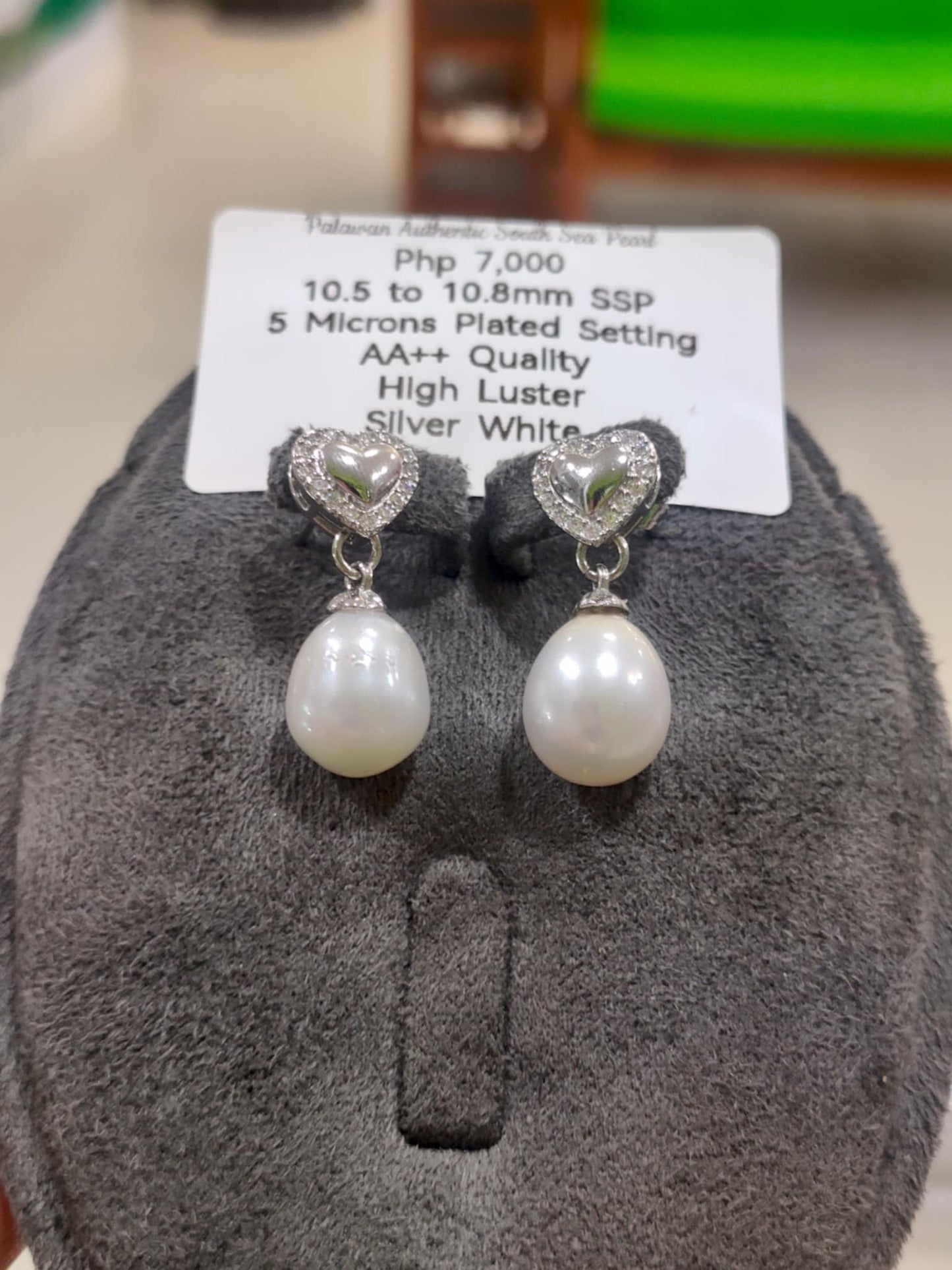 10.5mm to 10.8mm Authentic Silver White Color South Sea Pearls Earrings in 5 Micron Plated Settings